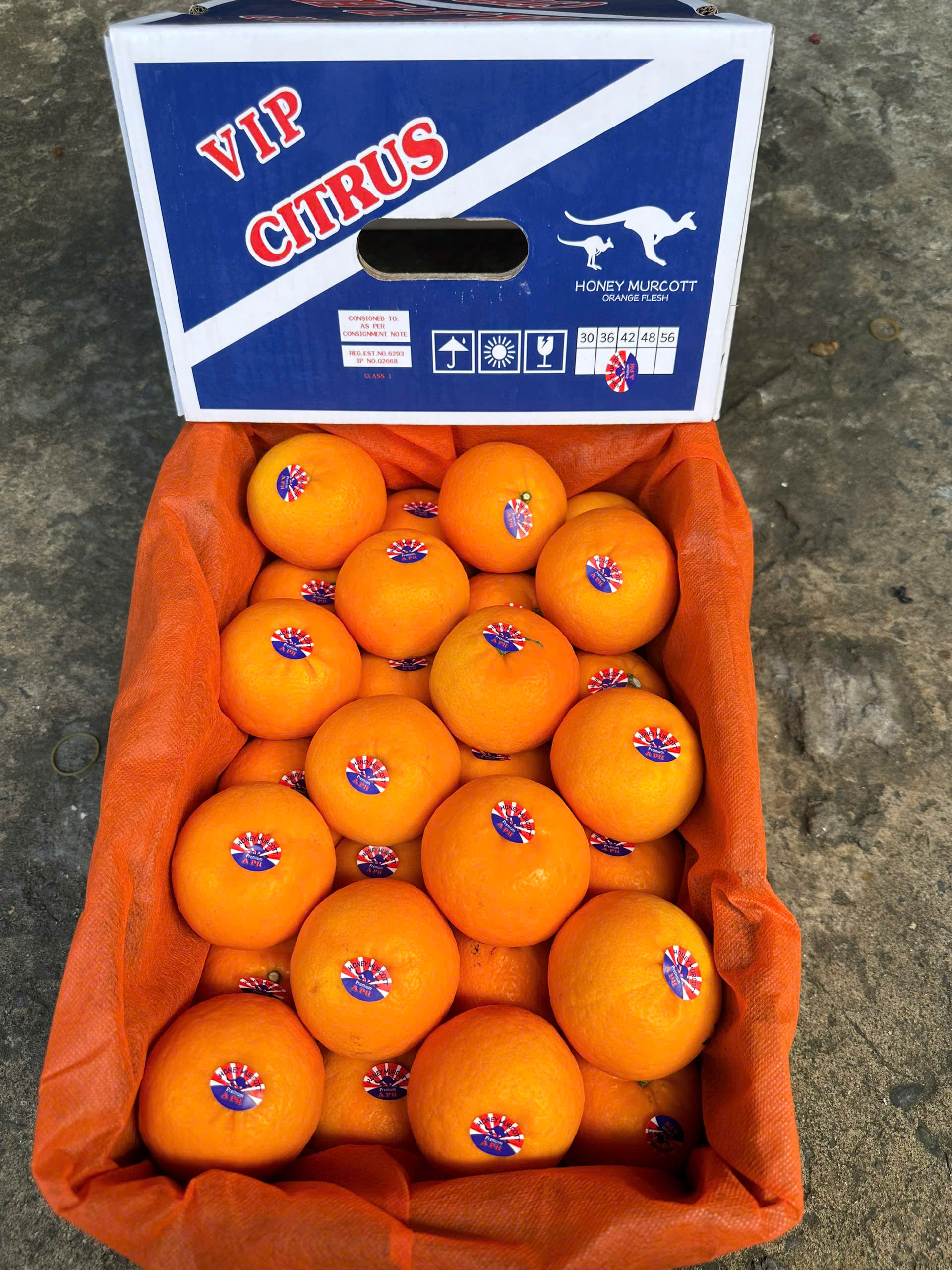 Quýt Úc Honey Murcott 2PH FAN 42