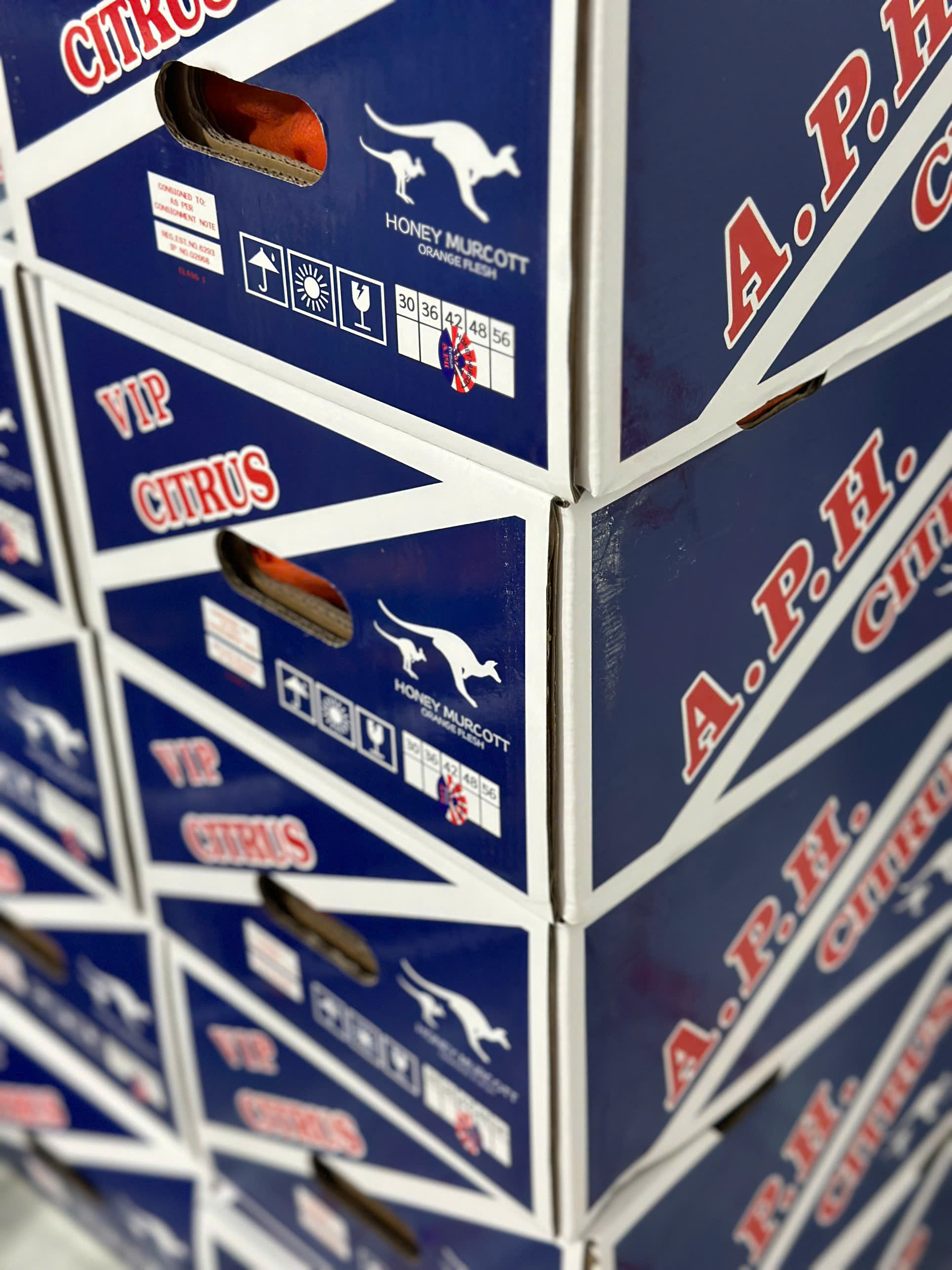 Quýt Úc Honey Murcott 2PH FAN 42