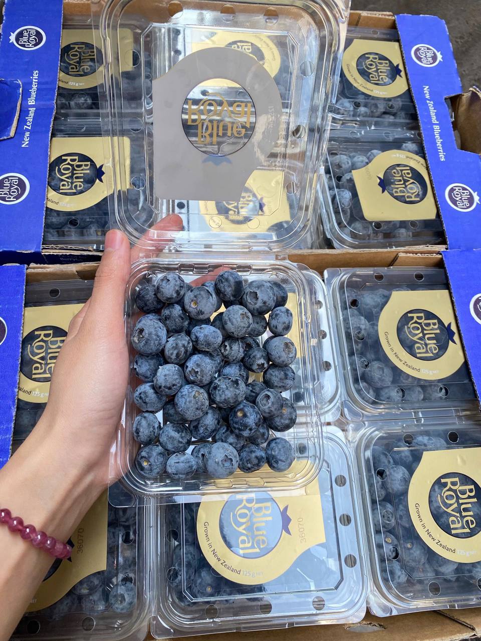 Việt Quất New Zealand