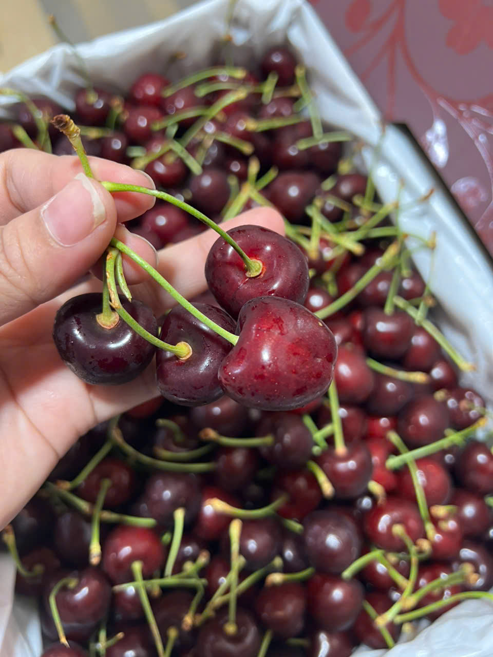 Cherry Úc size 28-30