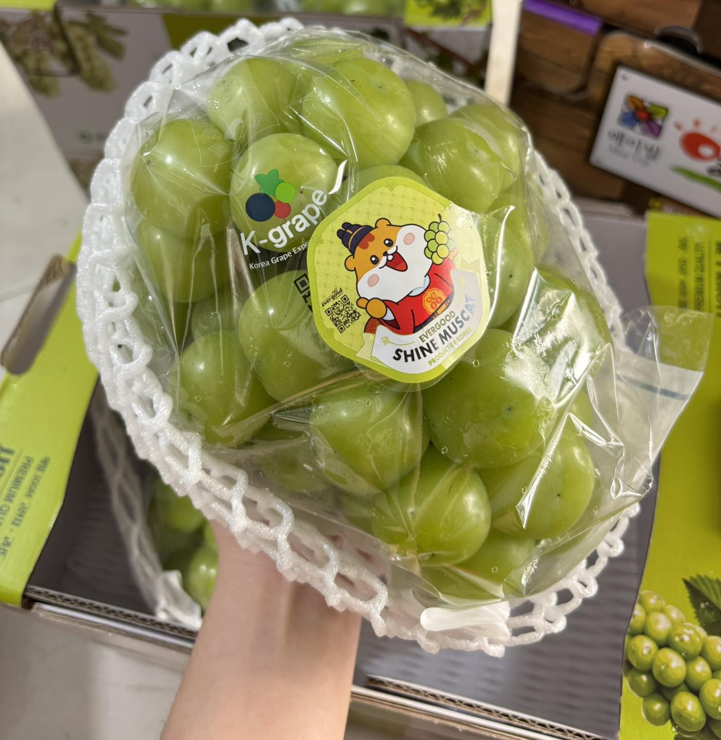 Nho mẫu đơn Shine Mustcat Hàn Quốc VIP 1