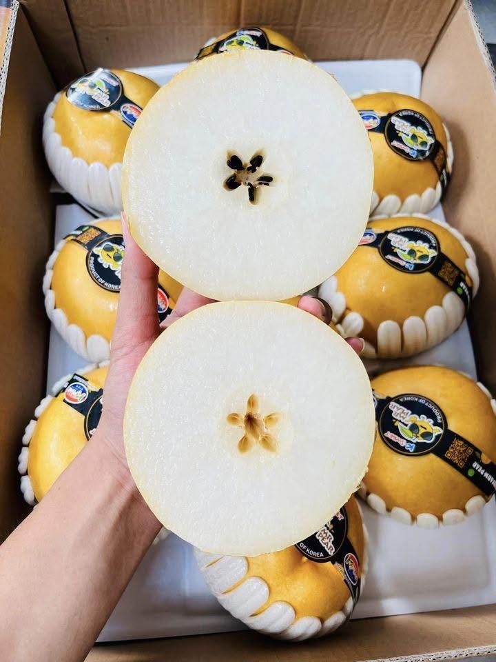 Lê Nâu Hàn Quốc