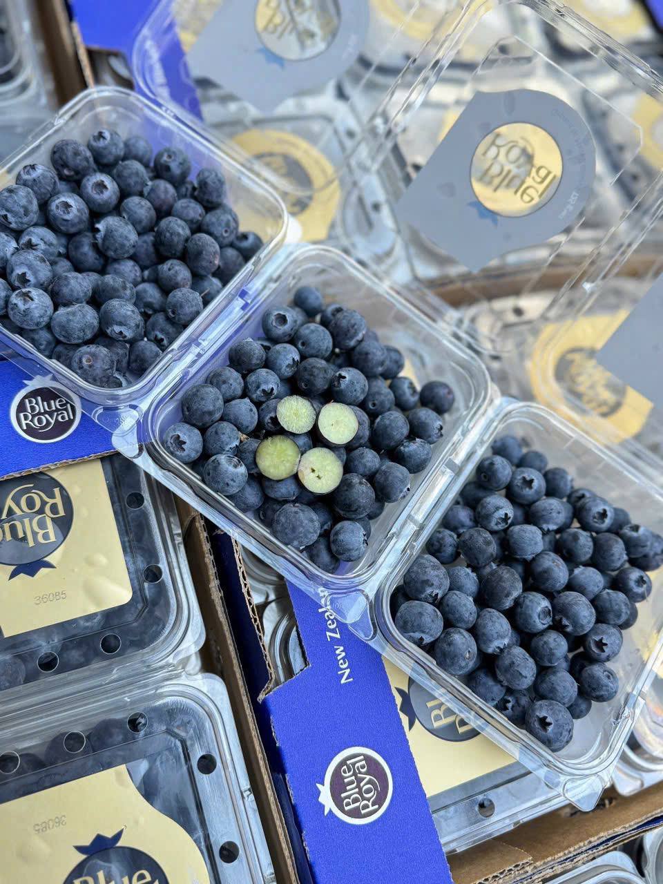 Việt Quất New Zealand