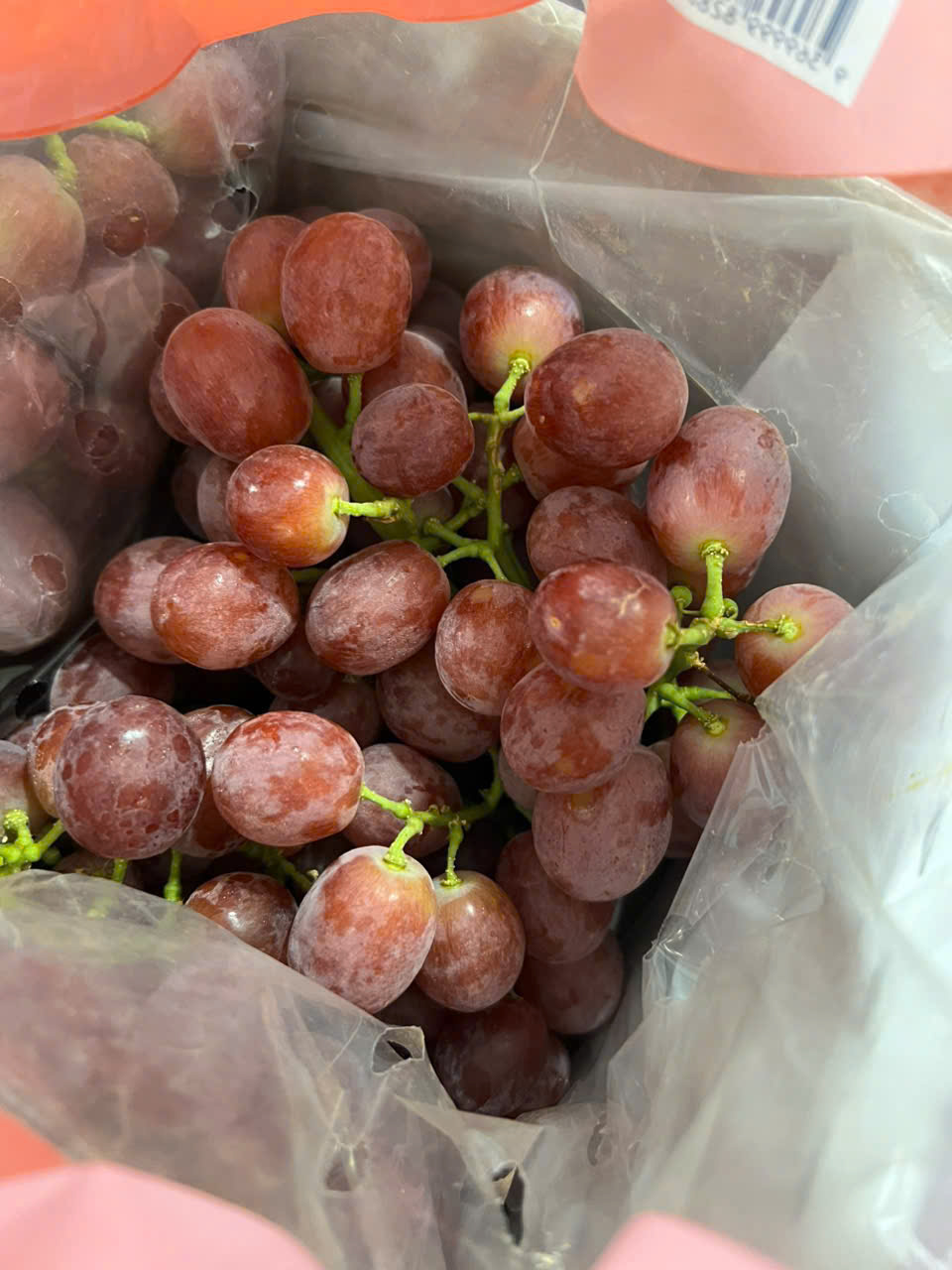 Nho Đỏ Úc GRANDEZZA