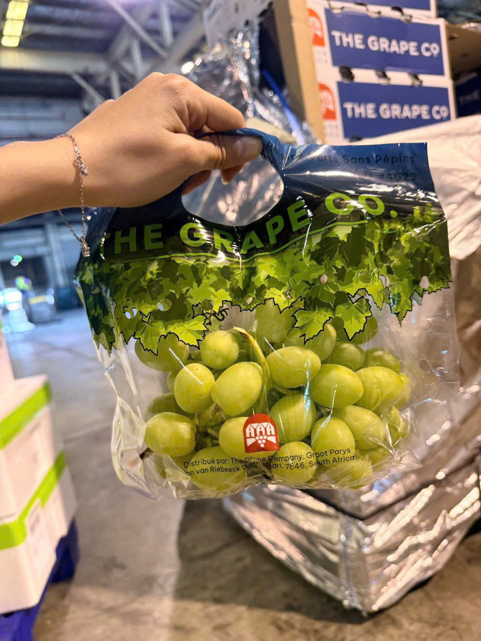 Nho Xanh Nam Phi Sweet Globe