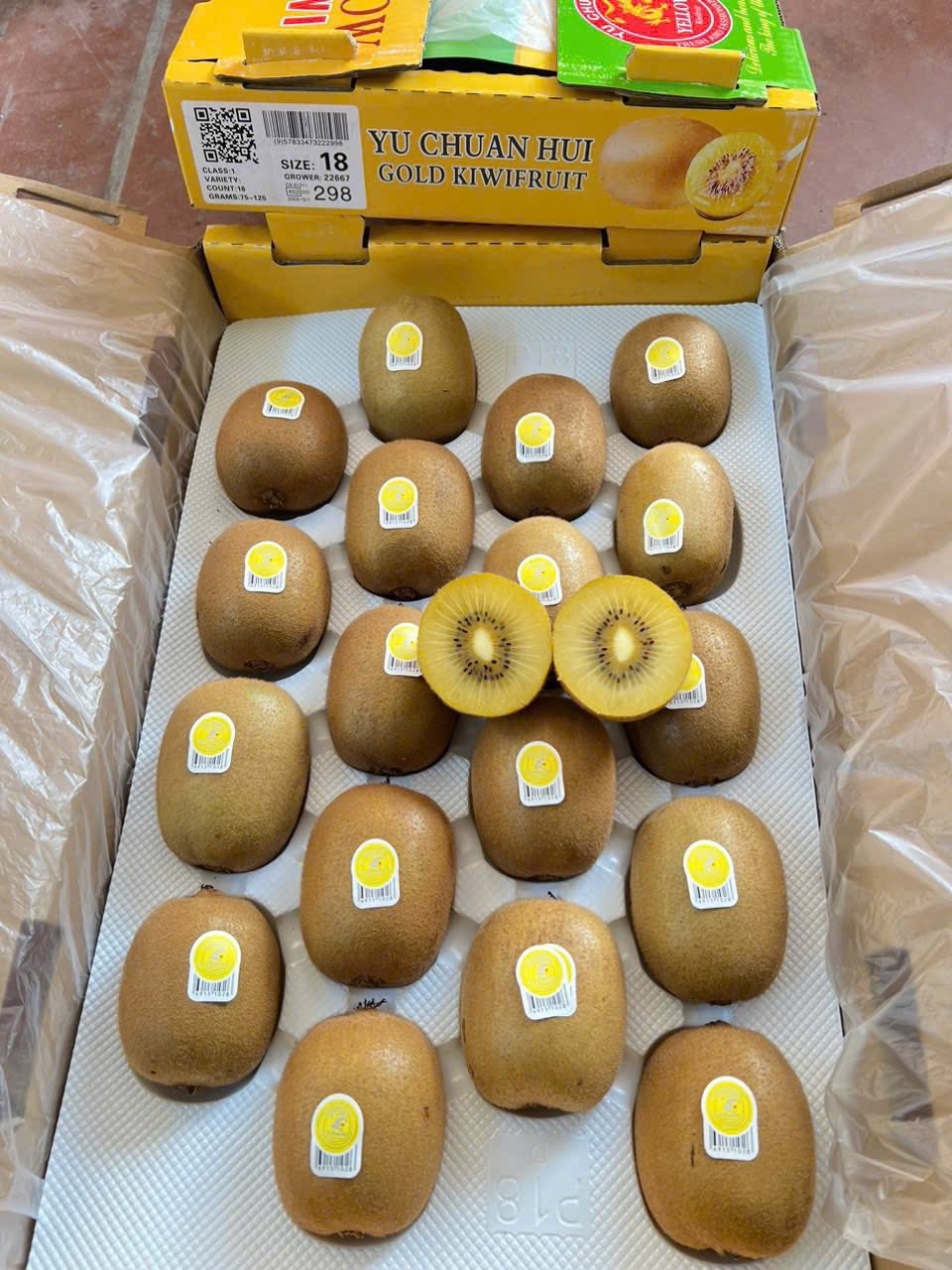 Kiwi Vàng Đài Loan