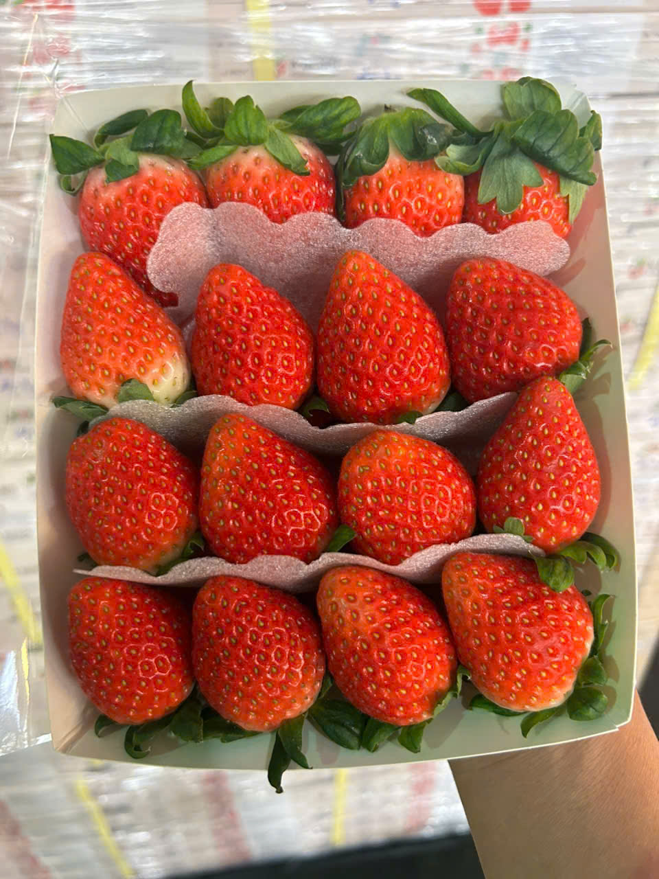 Dâu Hàn Quốc Joyfarm 330gr