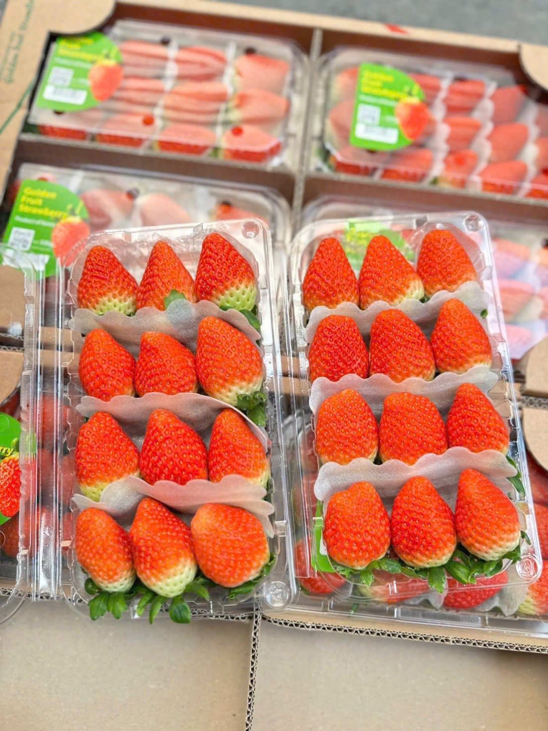 Dâu Hàn Quốc Golden 330gr