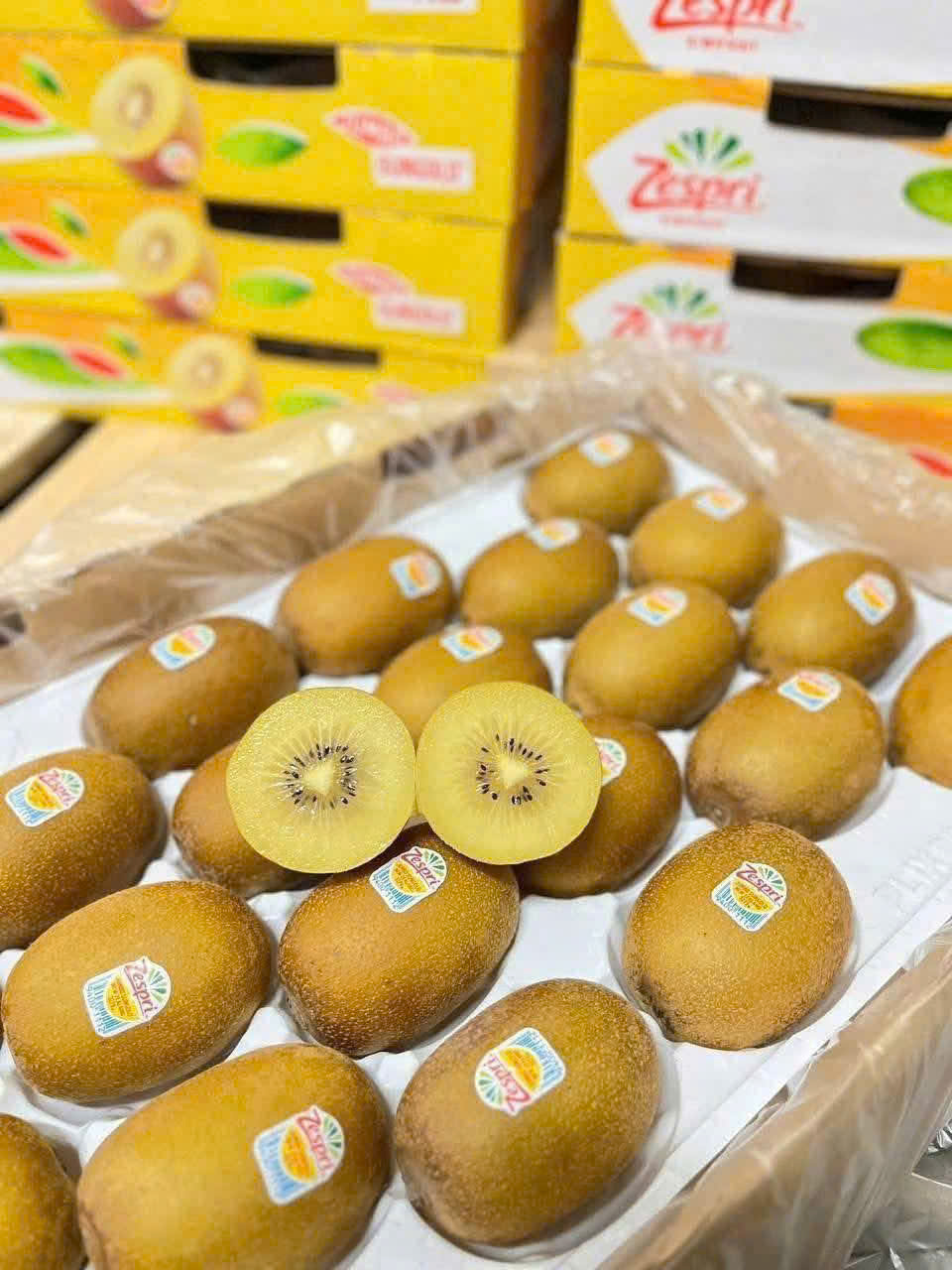 Kiwi Vàng New Zealand