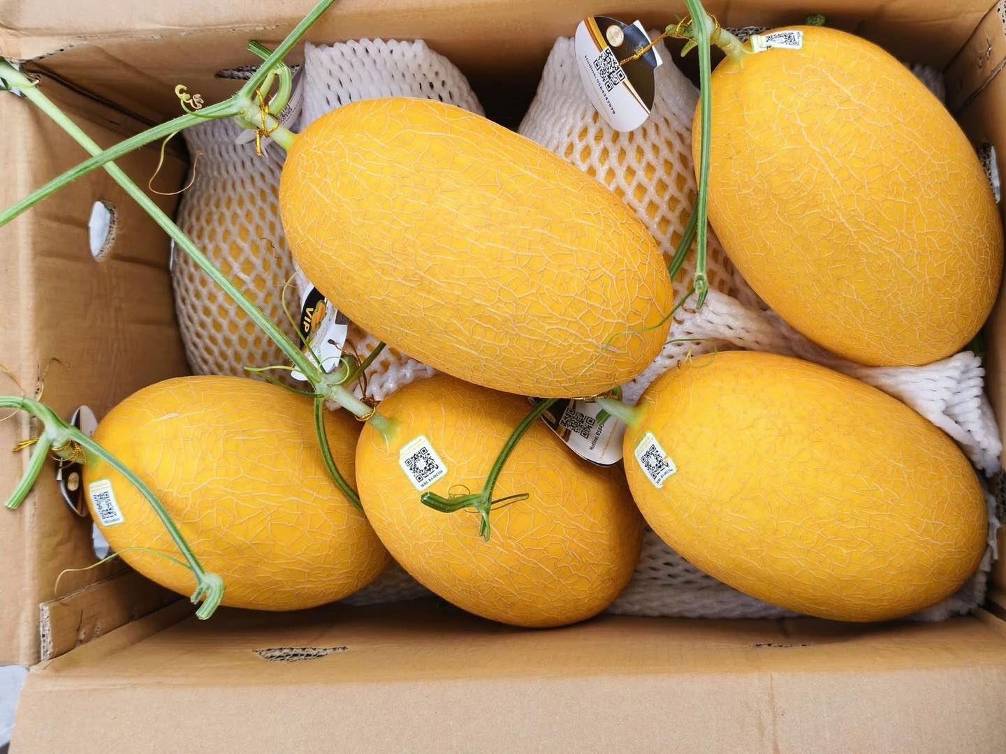 Dưa lưới Huỳnh Long loại 1