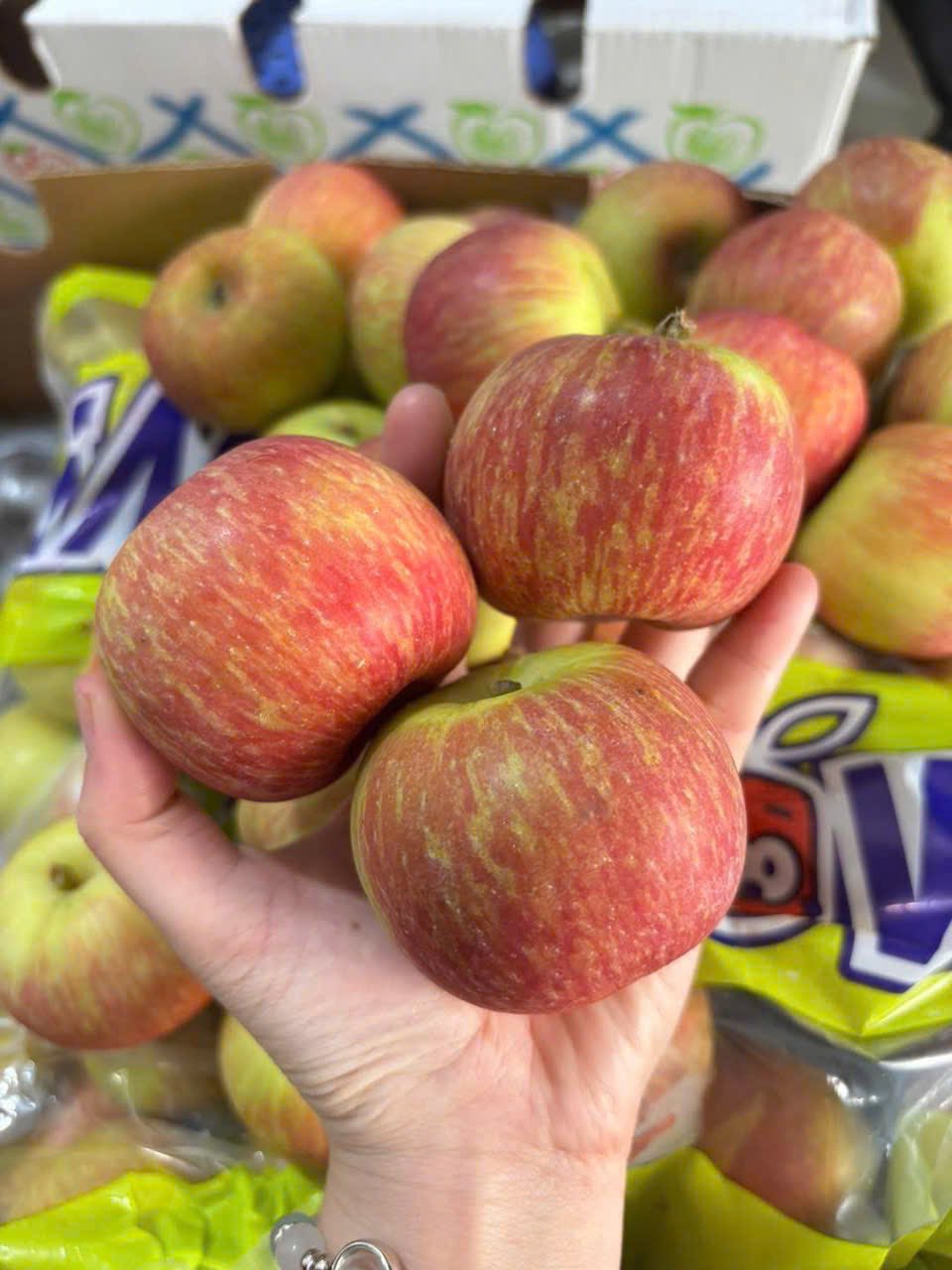 Táo Túi Nam Phi Fuji Red