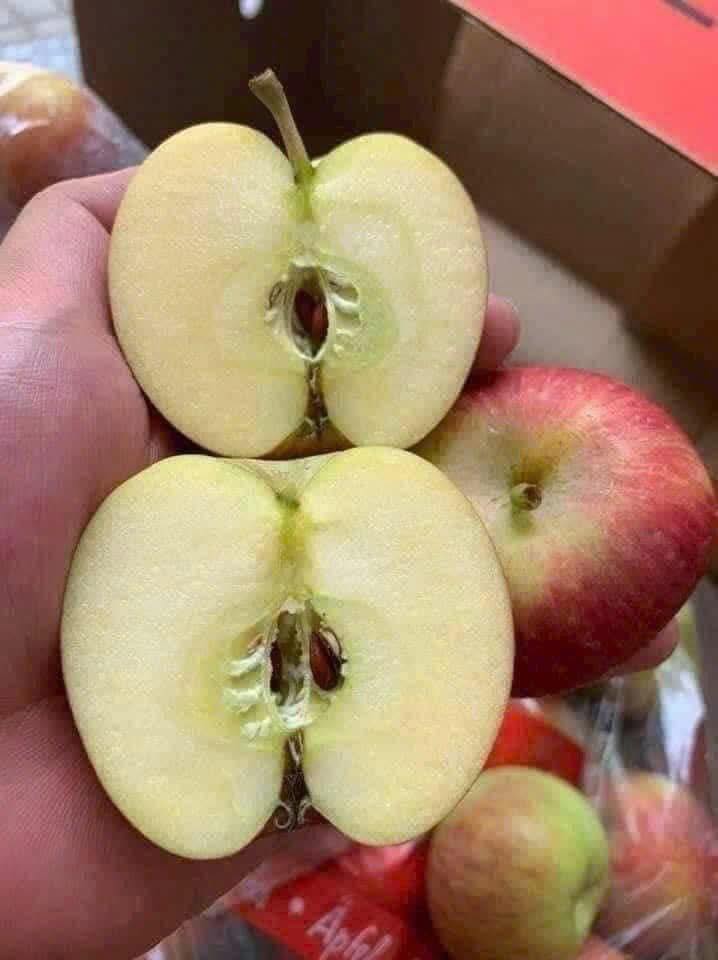 Táo Túi Nam Phi Fuji Red