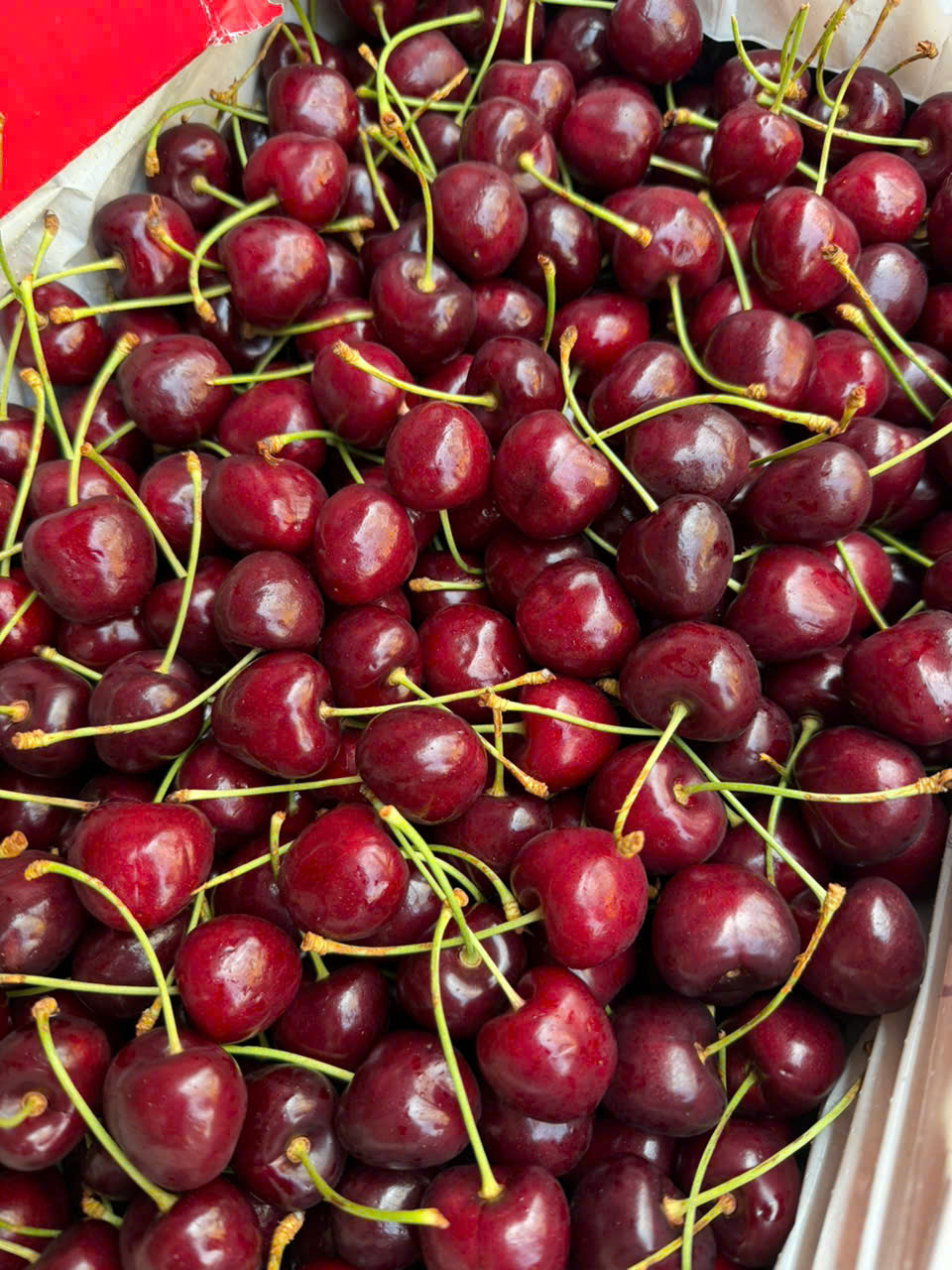 Cherry New Zealand Size 28-30