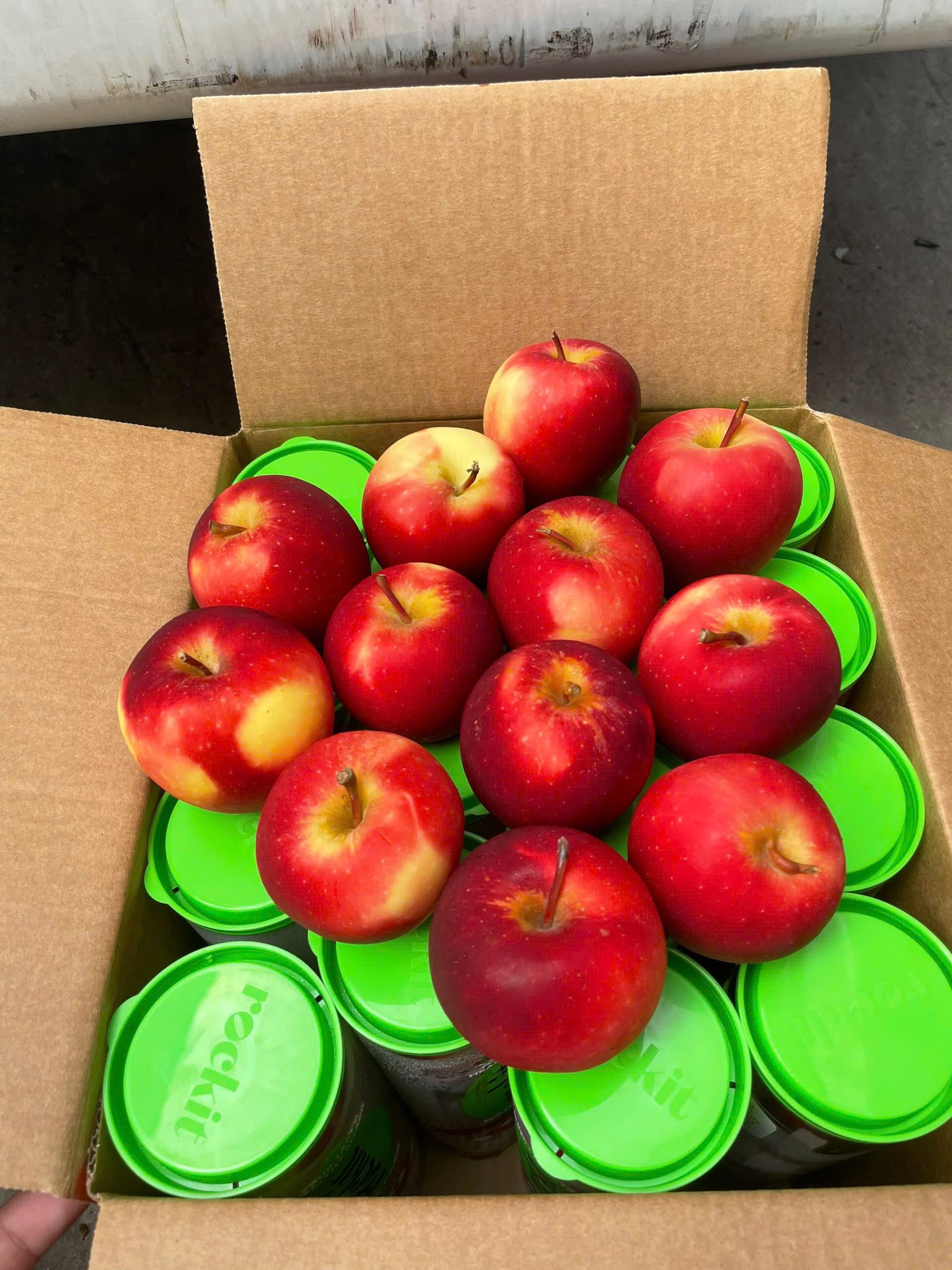 Táo Rockit New Zealand