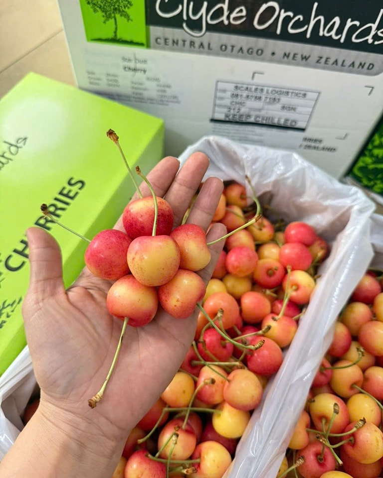 Cherry Vàng New Zealand