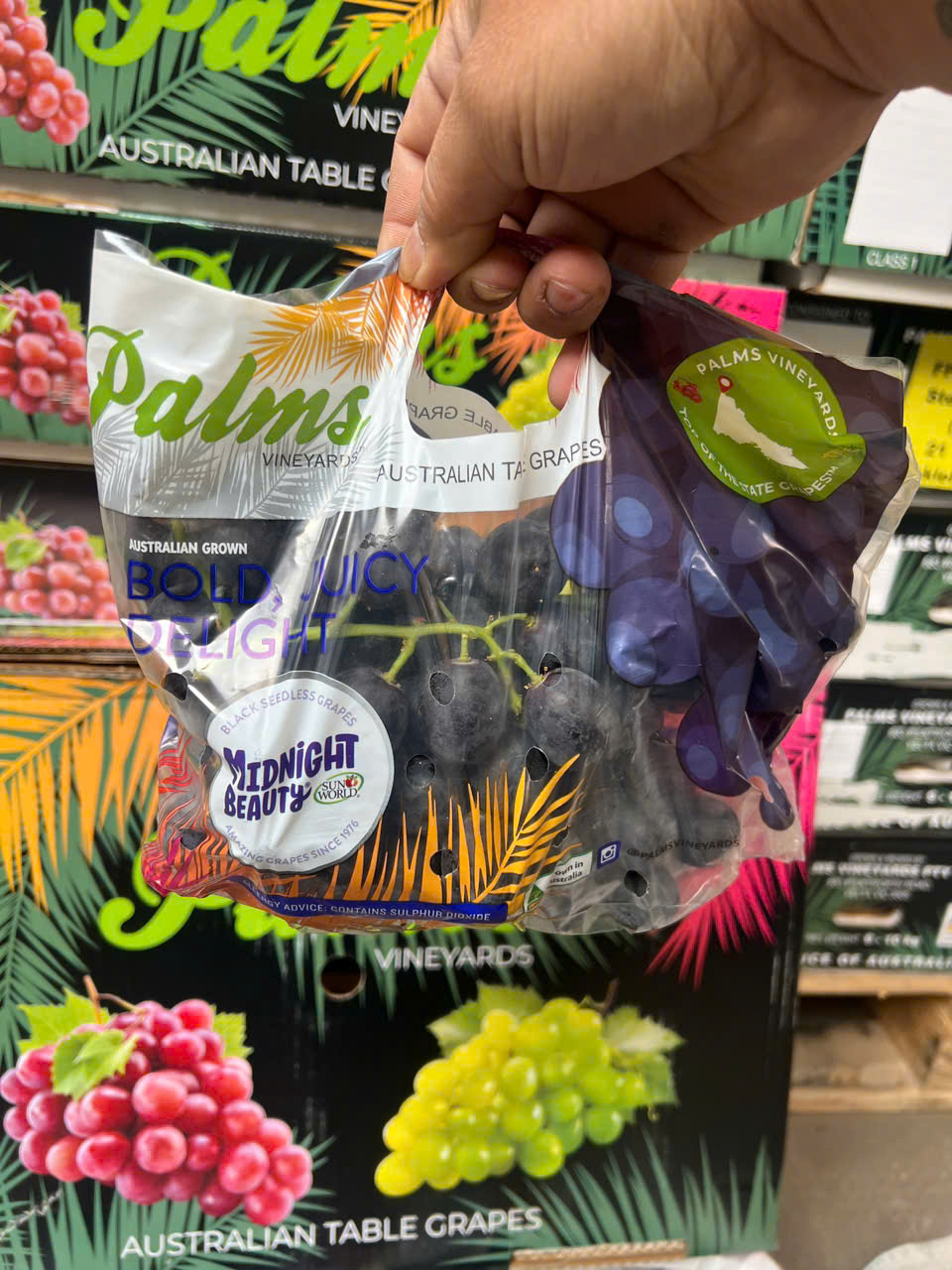Nho Đen Úc Midnight Beauty