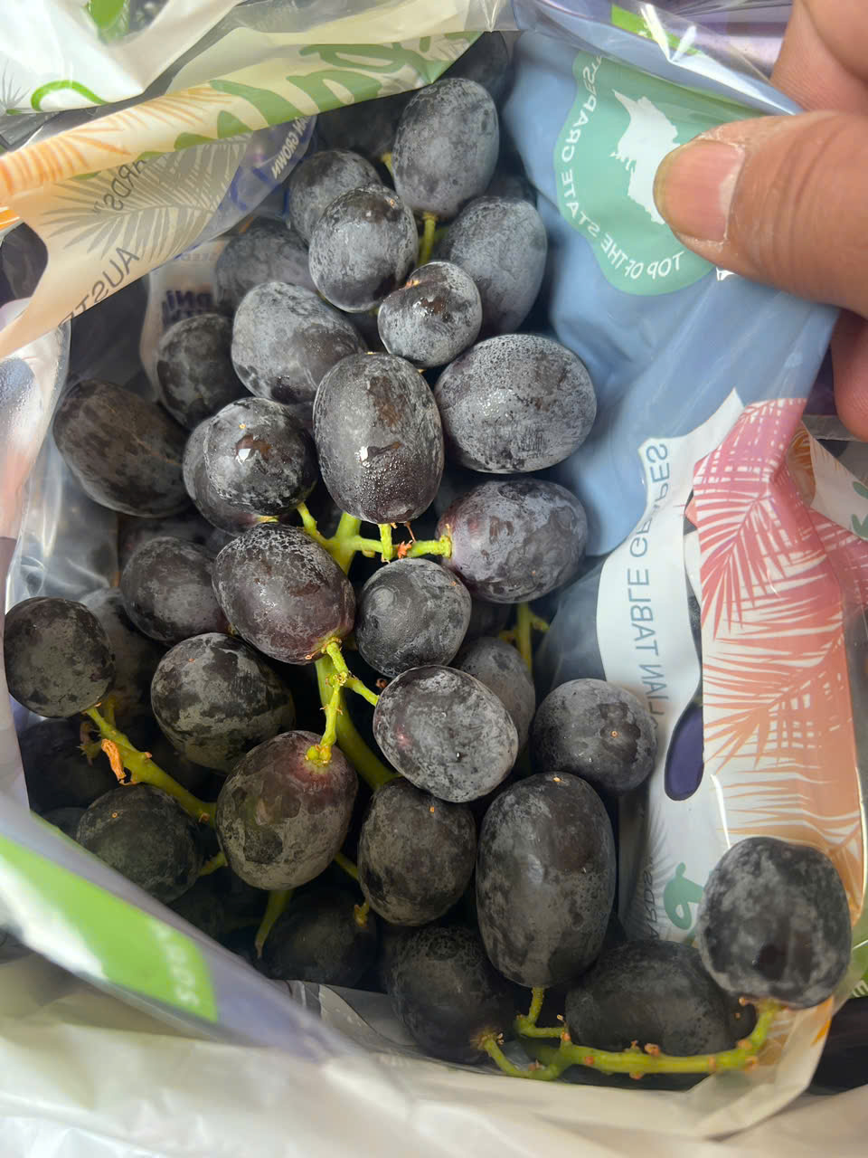 Nho Đen Úc Midnight Beauty