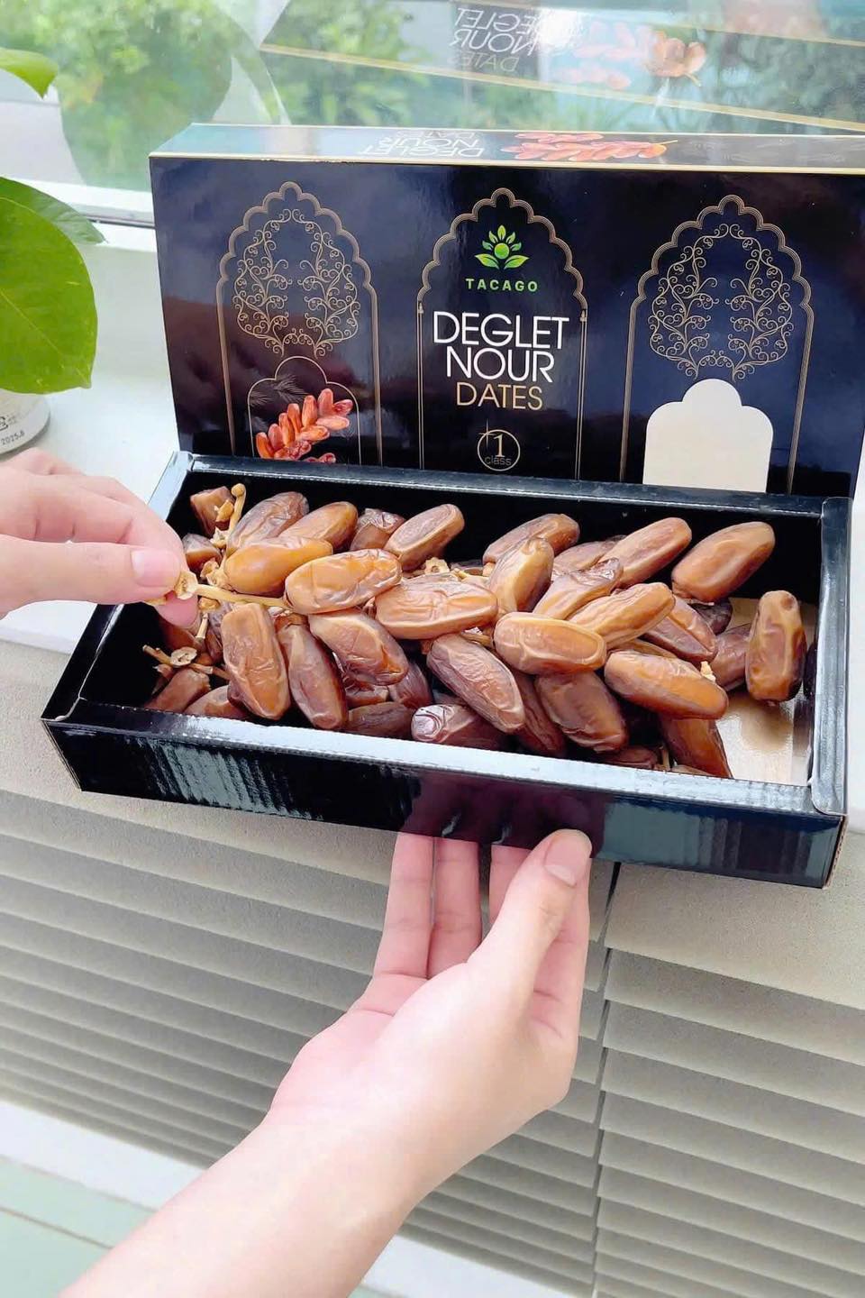 Chà Là Khô (Israel)