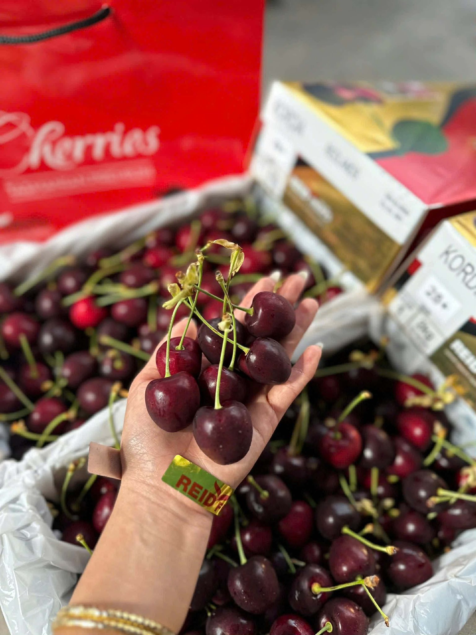 Cherry Úc Tasmanian Premium Size 32-34