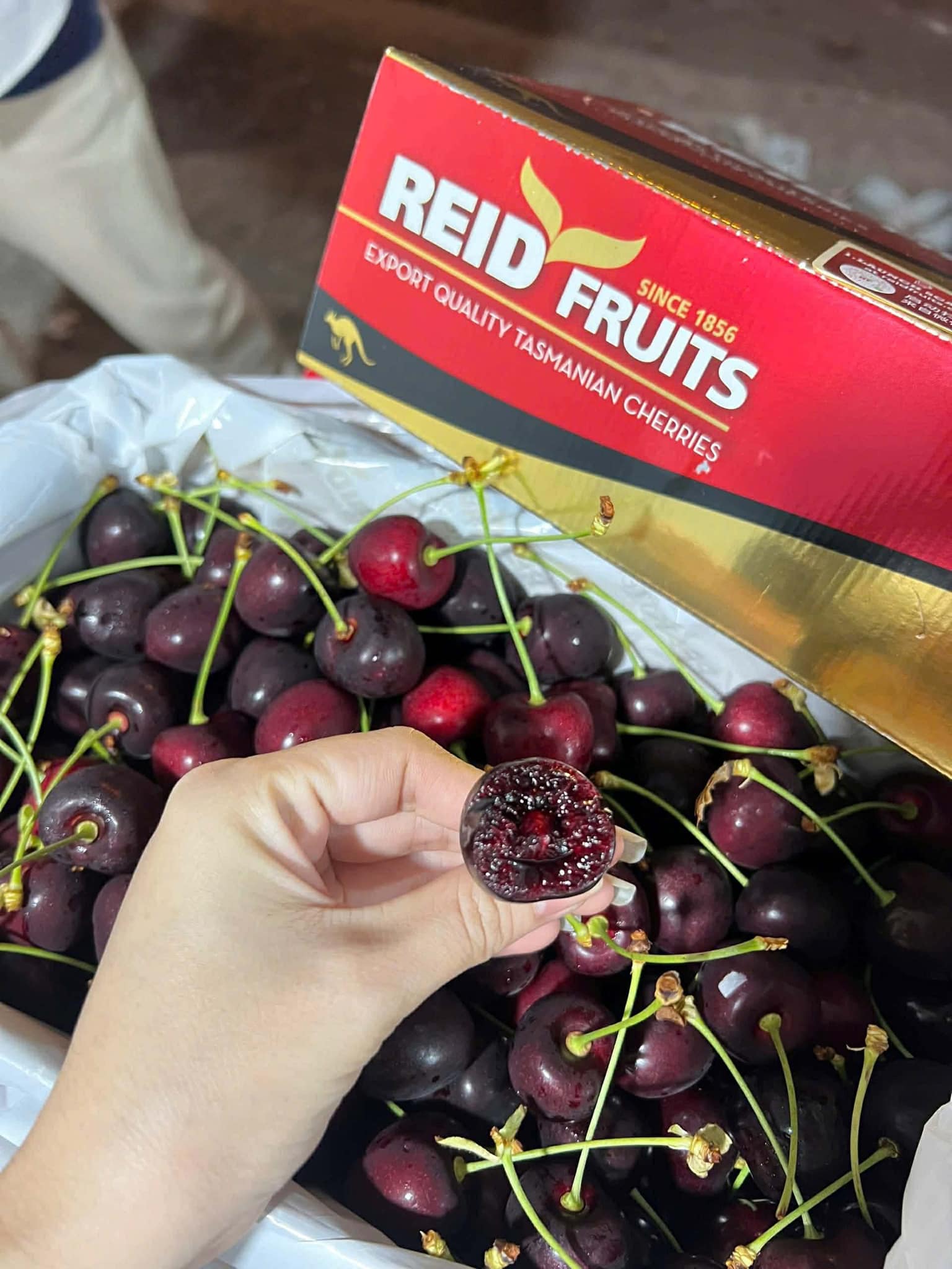 Cherry Úc Tasmanian Premium Size 32-34