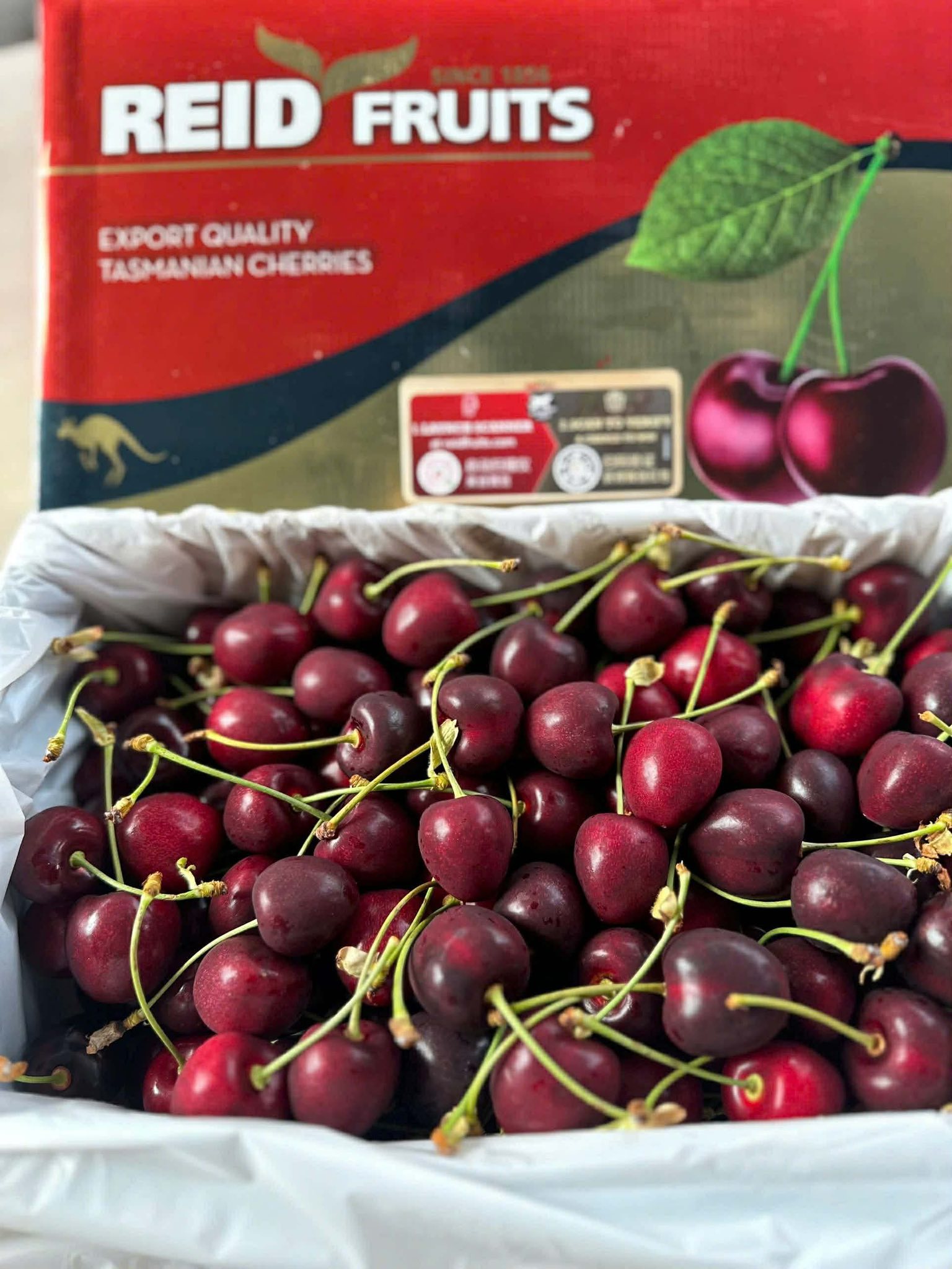 Cherry Úc Tasmanian Premium Size 32-34