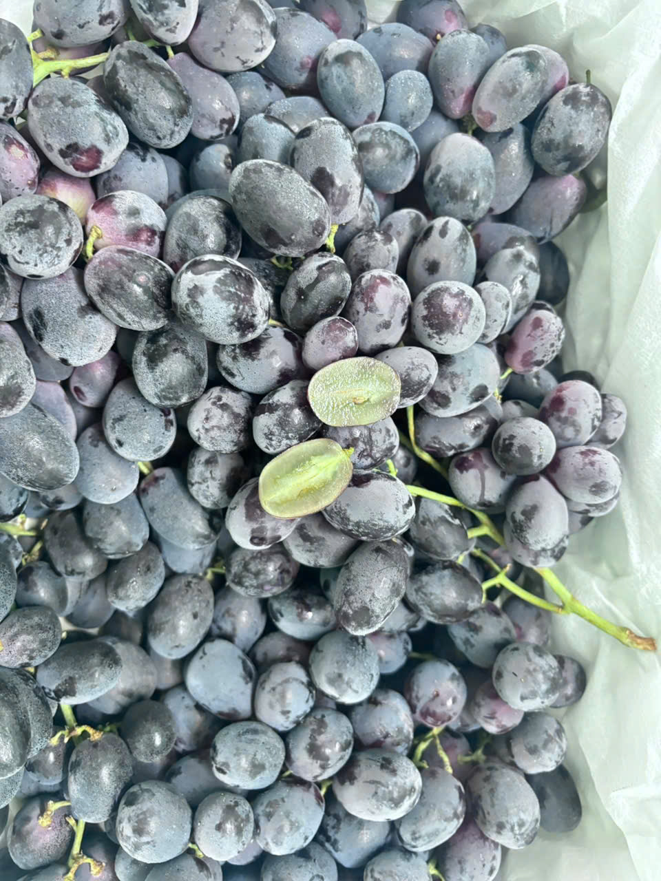 Nho Đen Sweet Sapphire