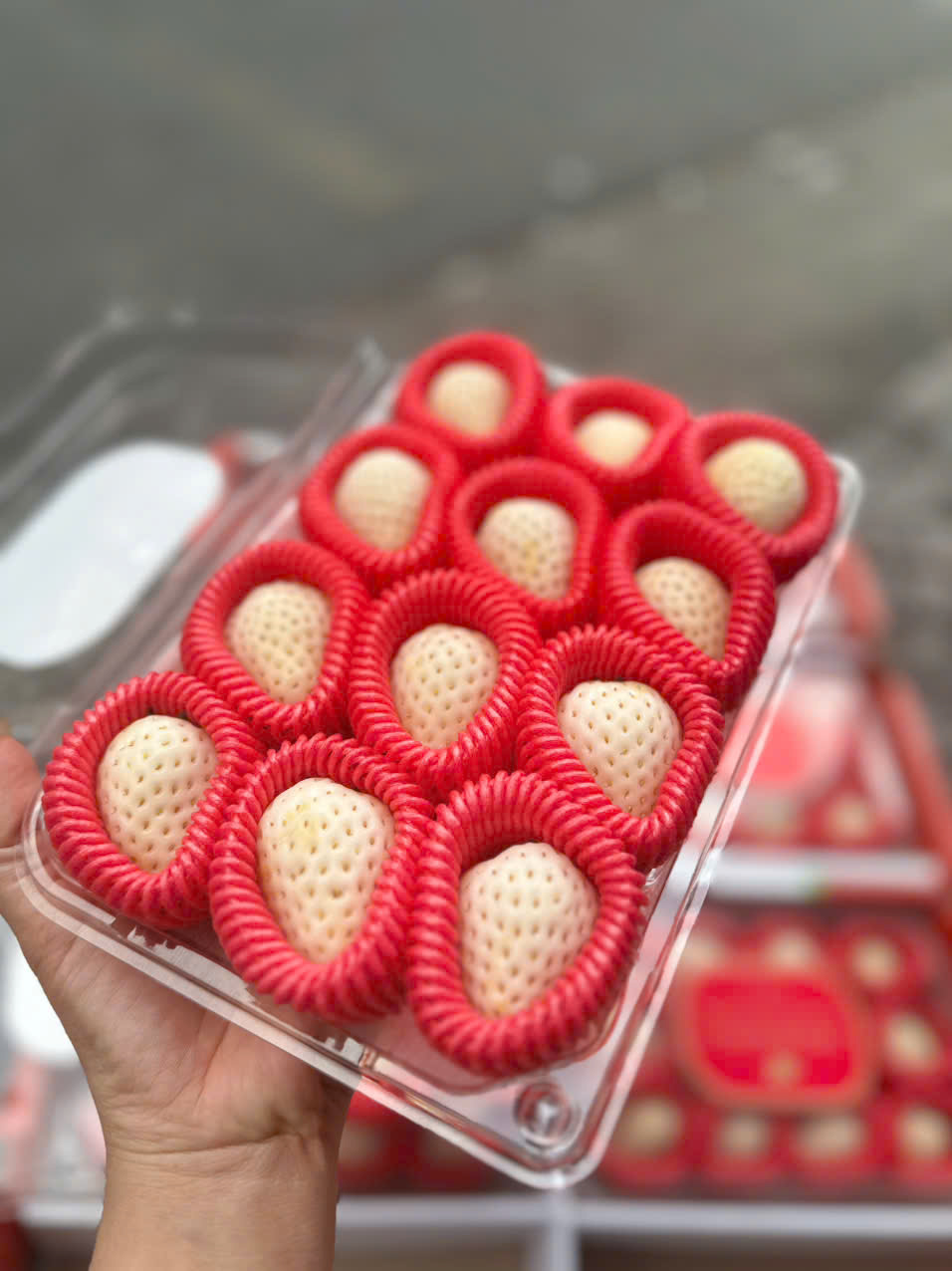 Dâu Bạch Tuyết Hàn Quốc 330gr