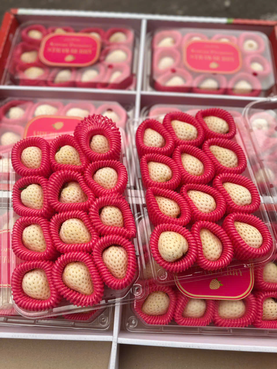 Dâu Bạch Tuyết Hàn Quốc 330gr