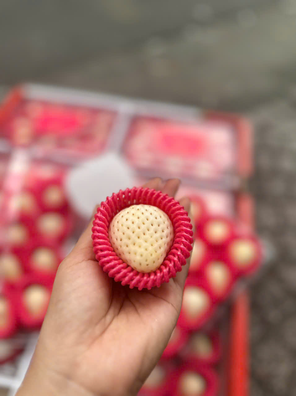 Dâu Bạch Tuyết Hàn Quốc 330gr