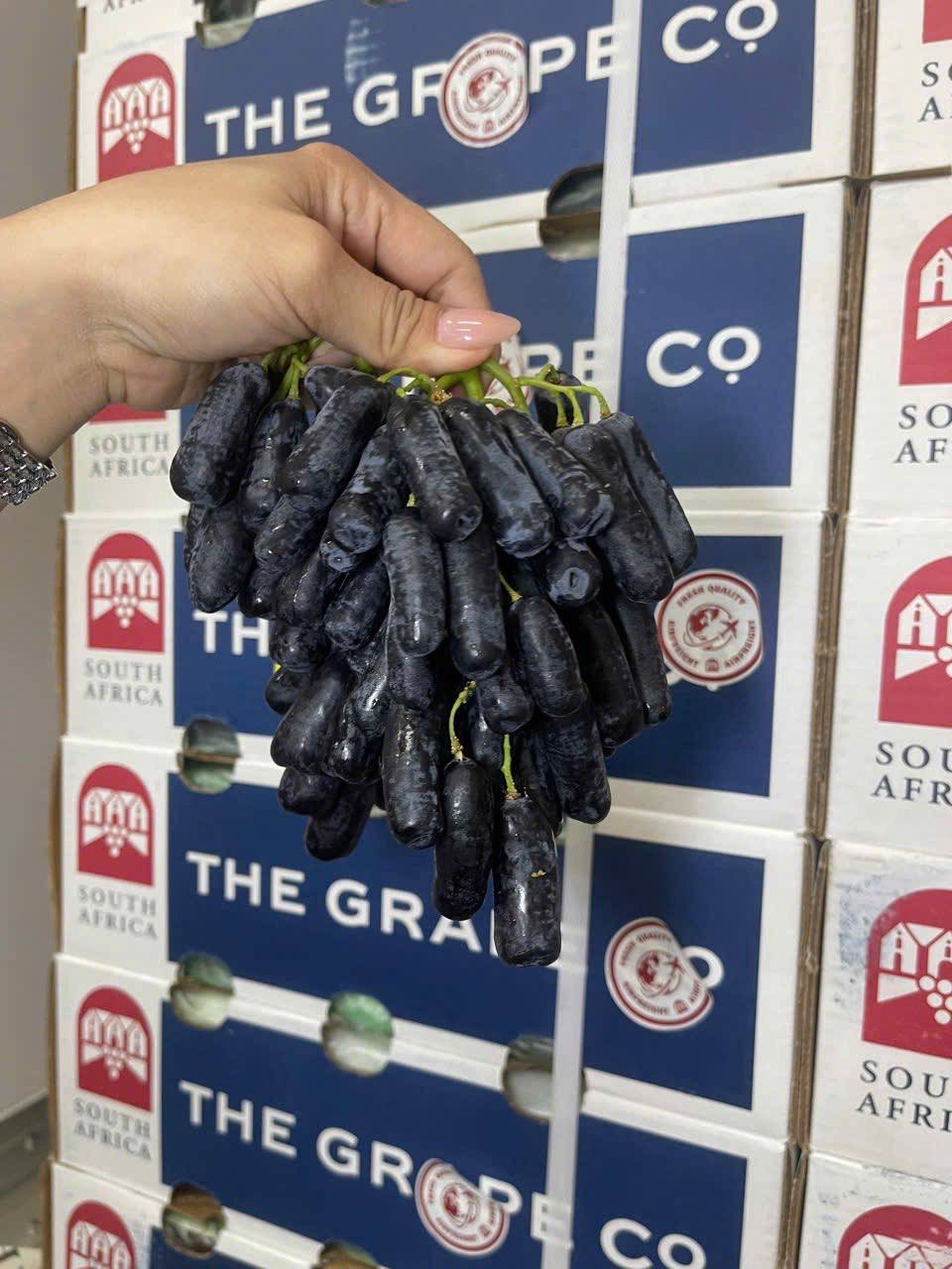 Nho Ngón Tay Đen Nam Phi