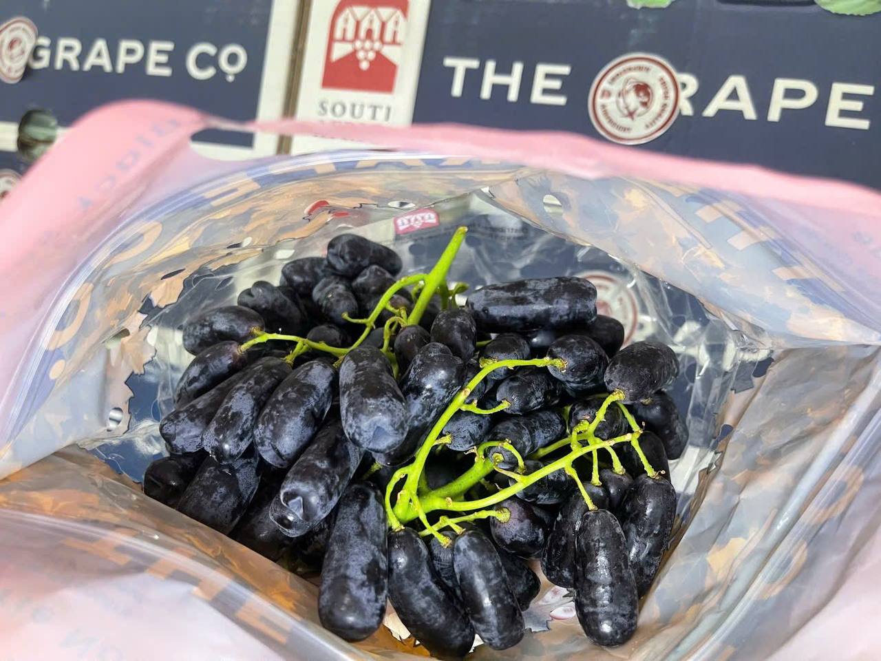 Nho Ngón Tay Đen Nam Phi