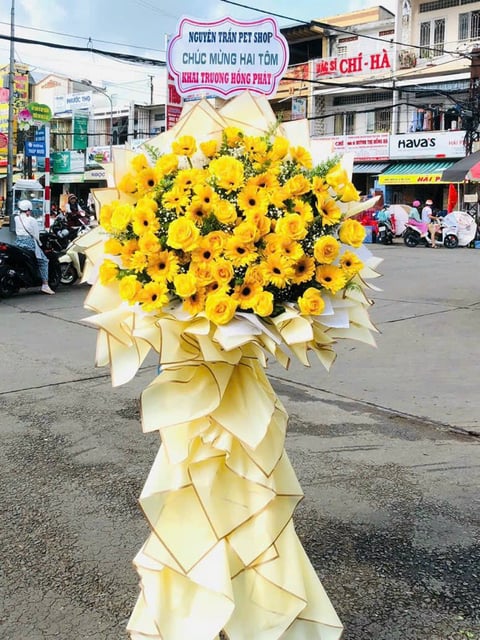 Kệ Hoa An Khang – K01