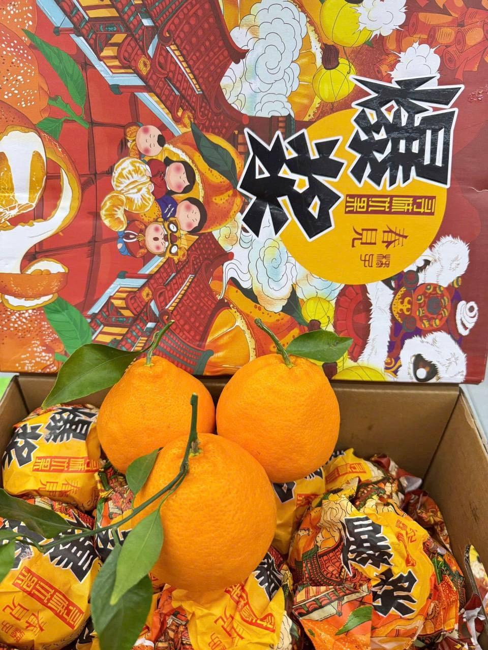 Quýt Chum Giống Nhật