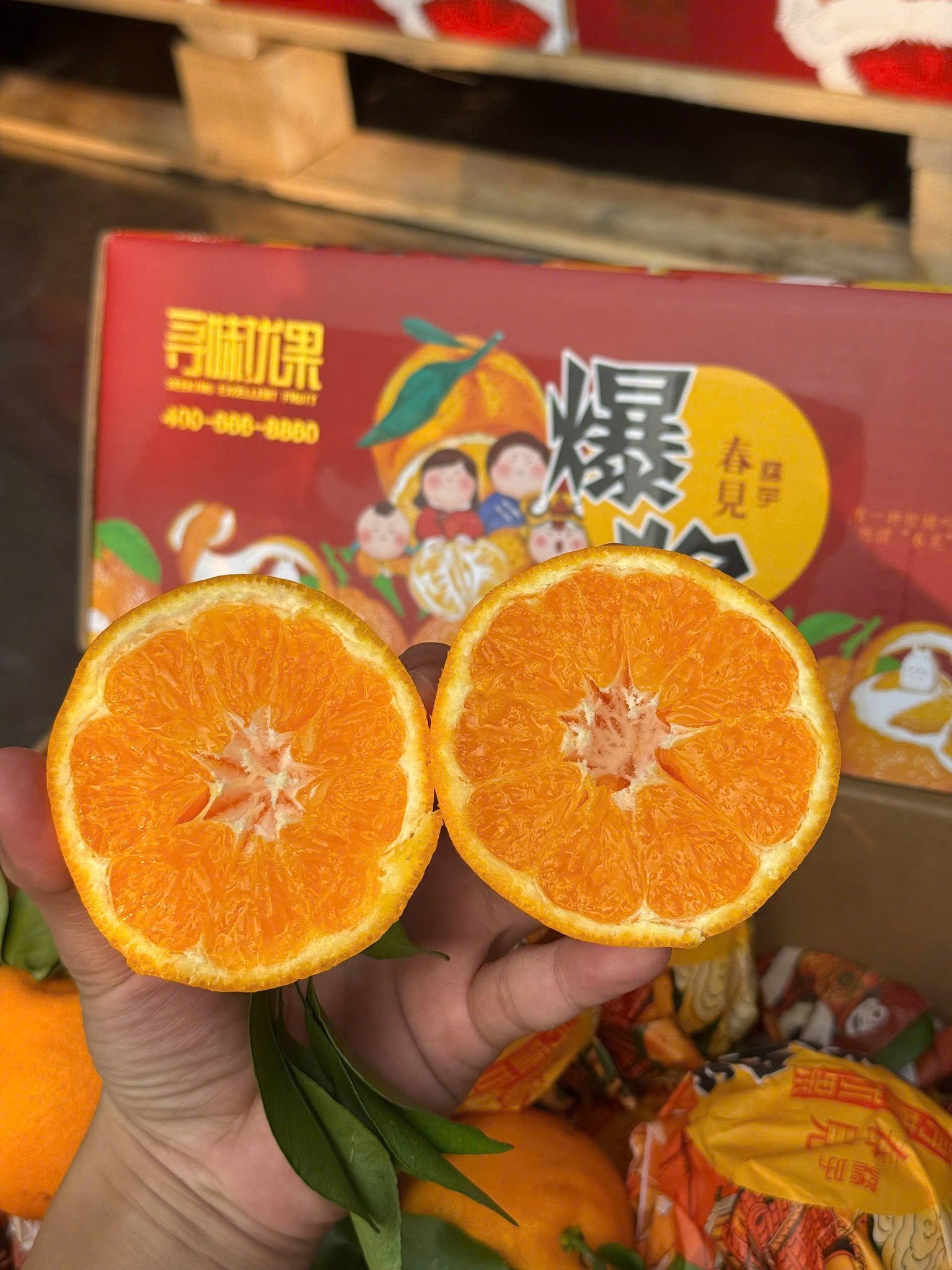 Quýt Chum Giống Nhật