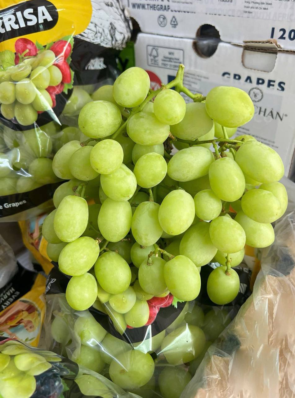 Nho Xanh Nam Phi Sweet Globe TERRISA
