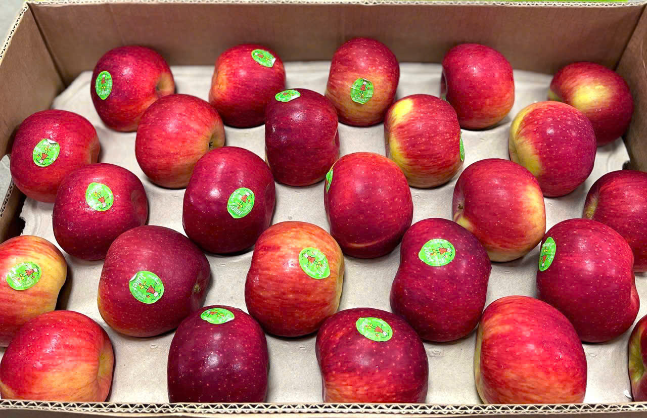 Táo Juliet Organic Pháp Thùng 18kg