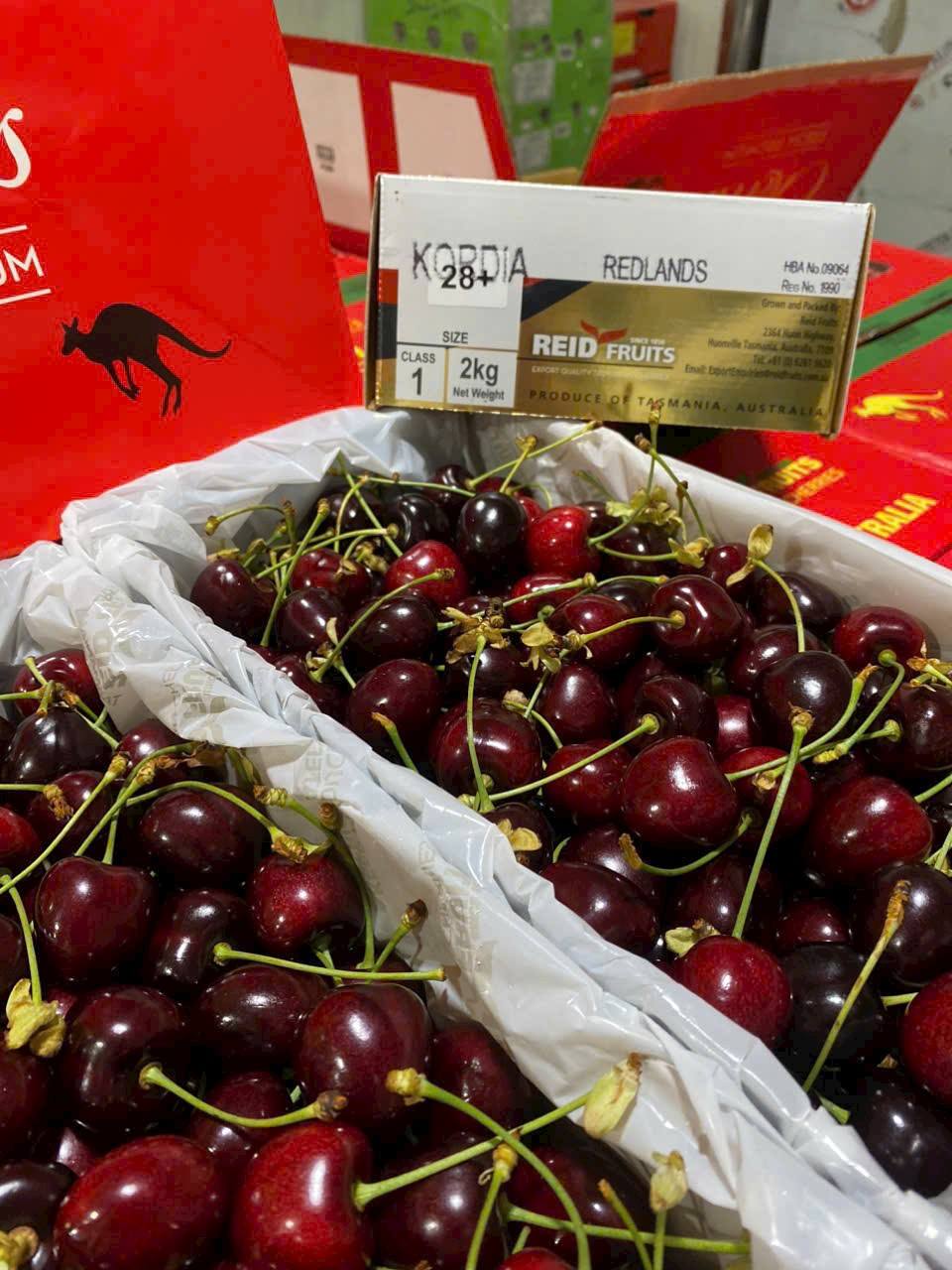 Cherry Úc Tasmania Thùng 2Kg