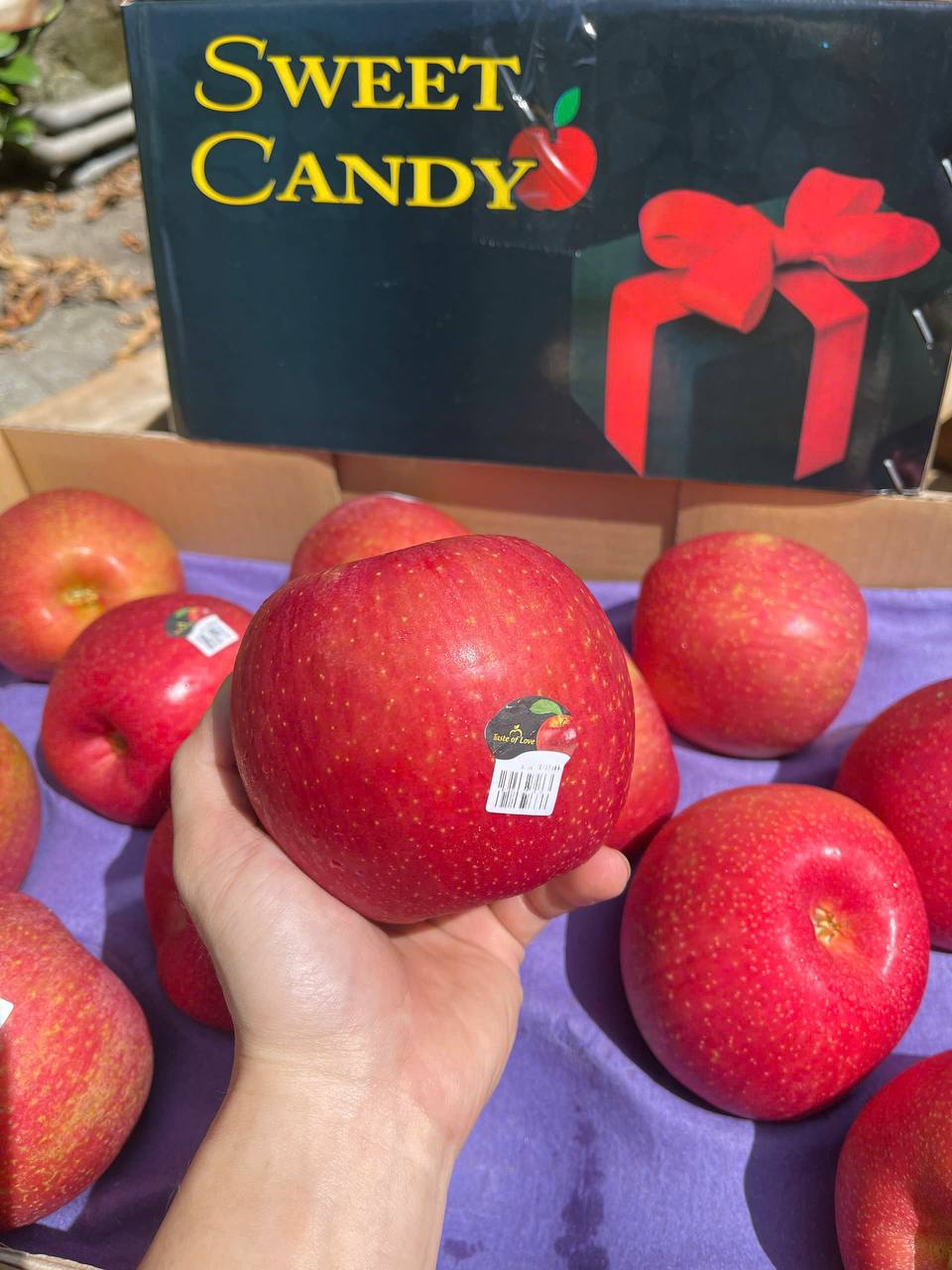 Táo Mật Ever Crisp Mỹ Thùng 10kg