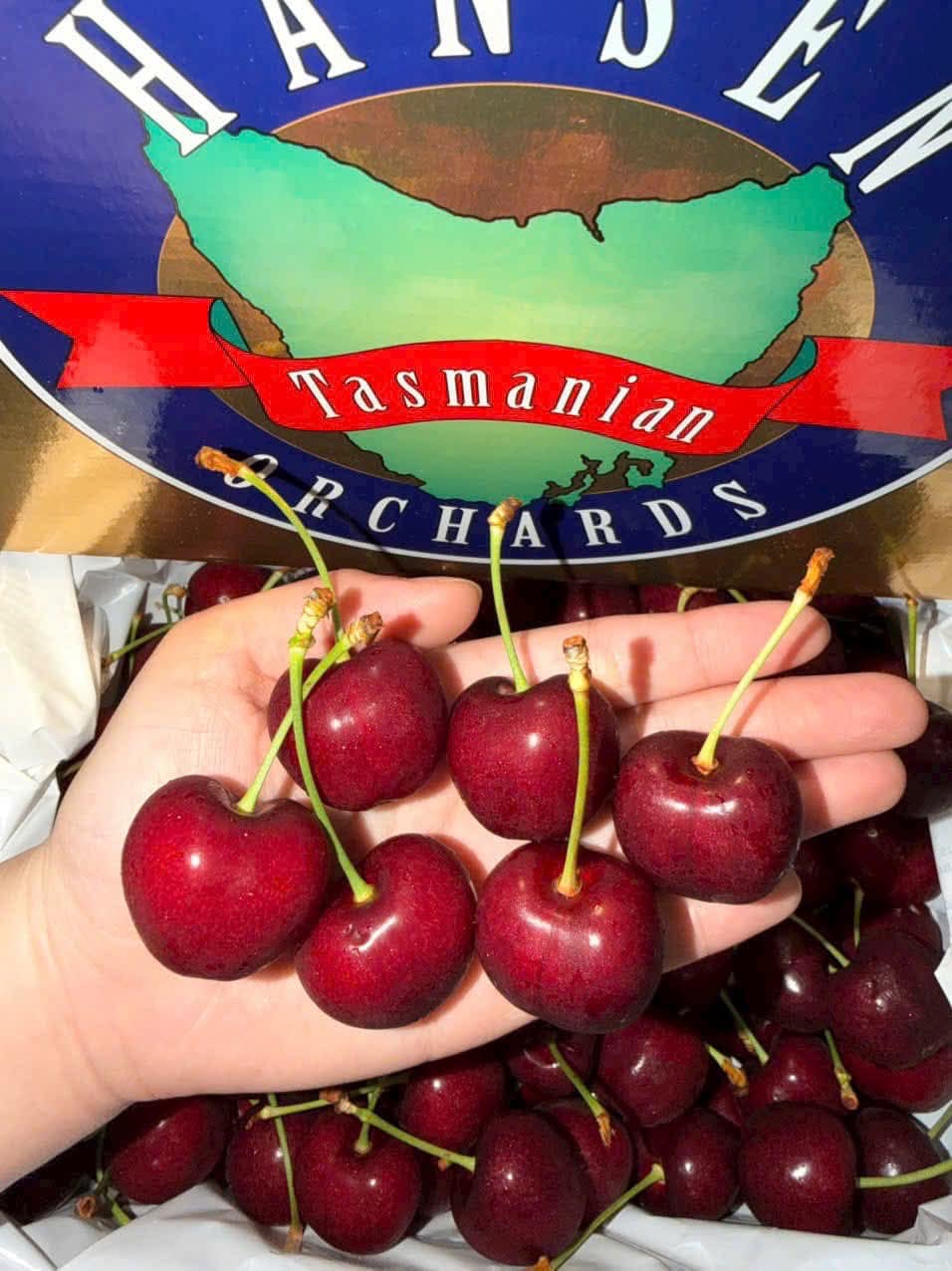 Cherry Úc Tasmania Thùng 2Kg