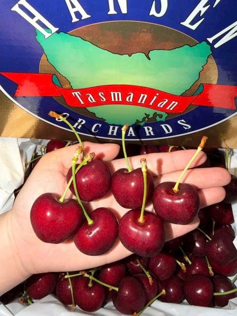 Cherry Úc Tasmania Thùng 2Kg
