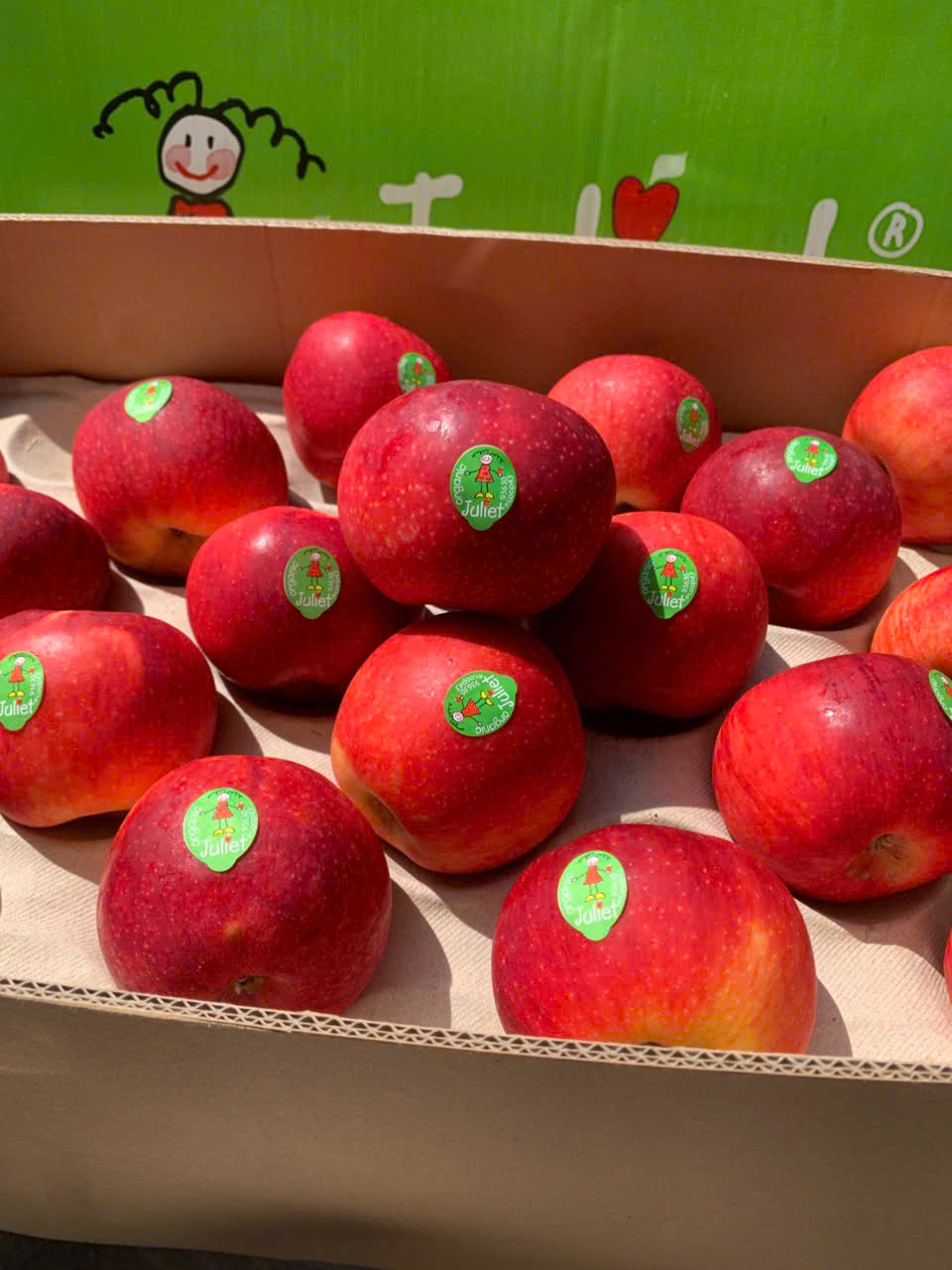 Táo Juliet Organic Pháp Thùng 18kg