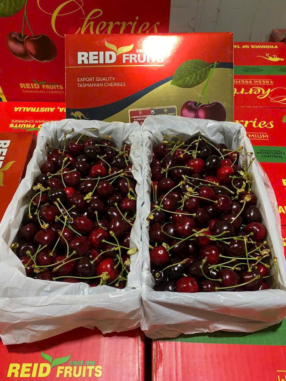 Cherry Úc Tasmania Thùng 2Kg