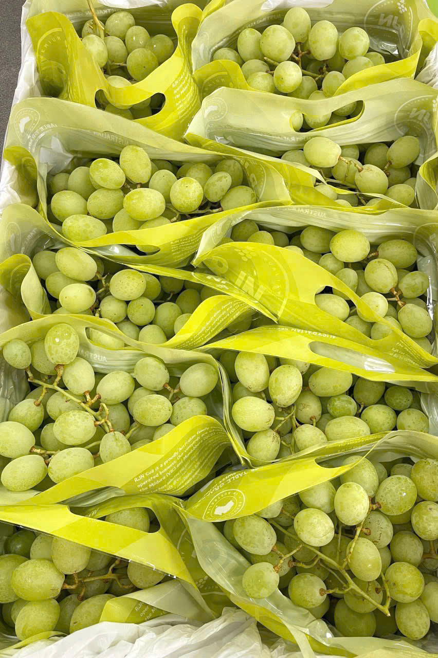 Nho Xanh Úc RJN Sweet Globe Thùng 9kg
