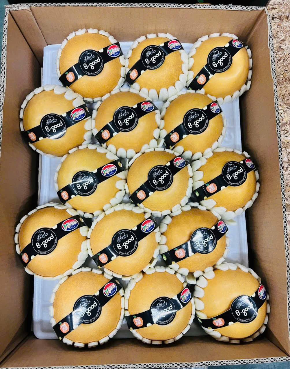 Lê Nâu Hàn Quốc Size 24/28/30/Thùng 15kg