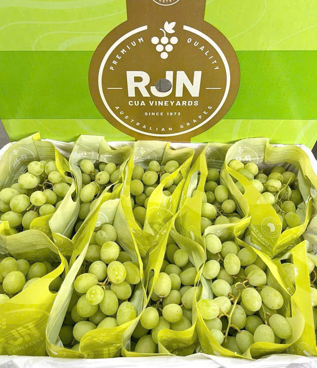 Nho Xanh Úc RJN Sweet Globe Thùng 9kg