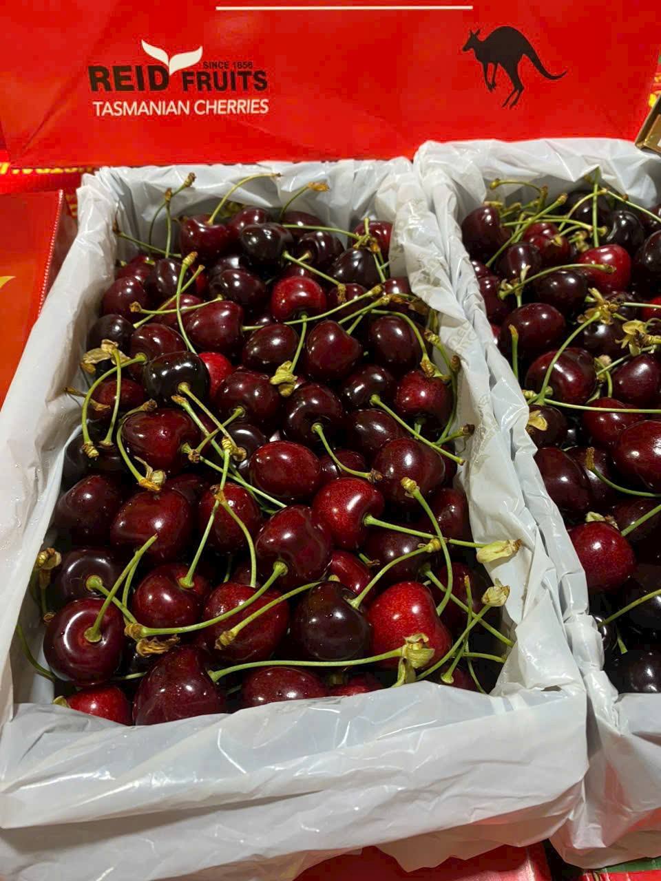 Cherry Úc Tasmania Thùng 2Kg