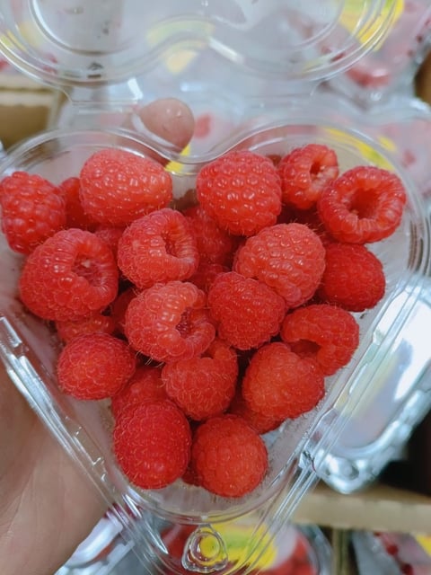 Trái Mâm Xôi Thùng 12 Hộp x 125gr