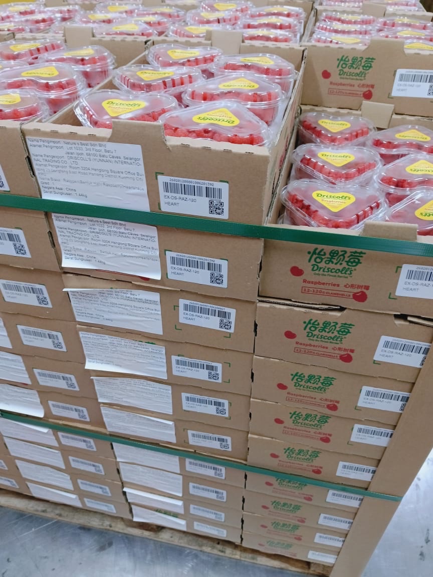 Trái Mâm Xôi Thùng 12 Hộp x 125gr