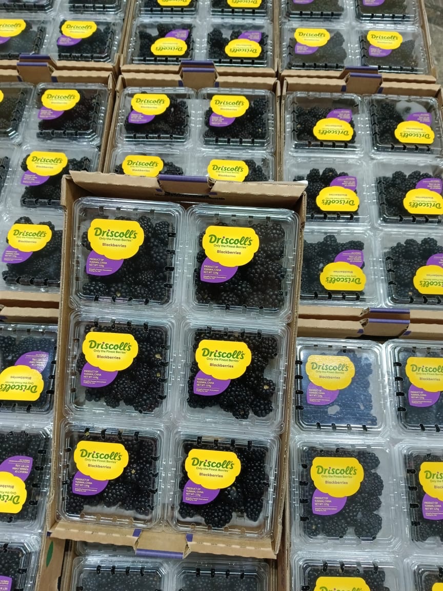 Trái Mâm Xôi Đen Thùng 12 Hộp x 125Gr