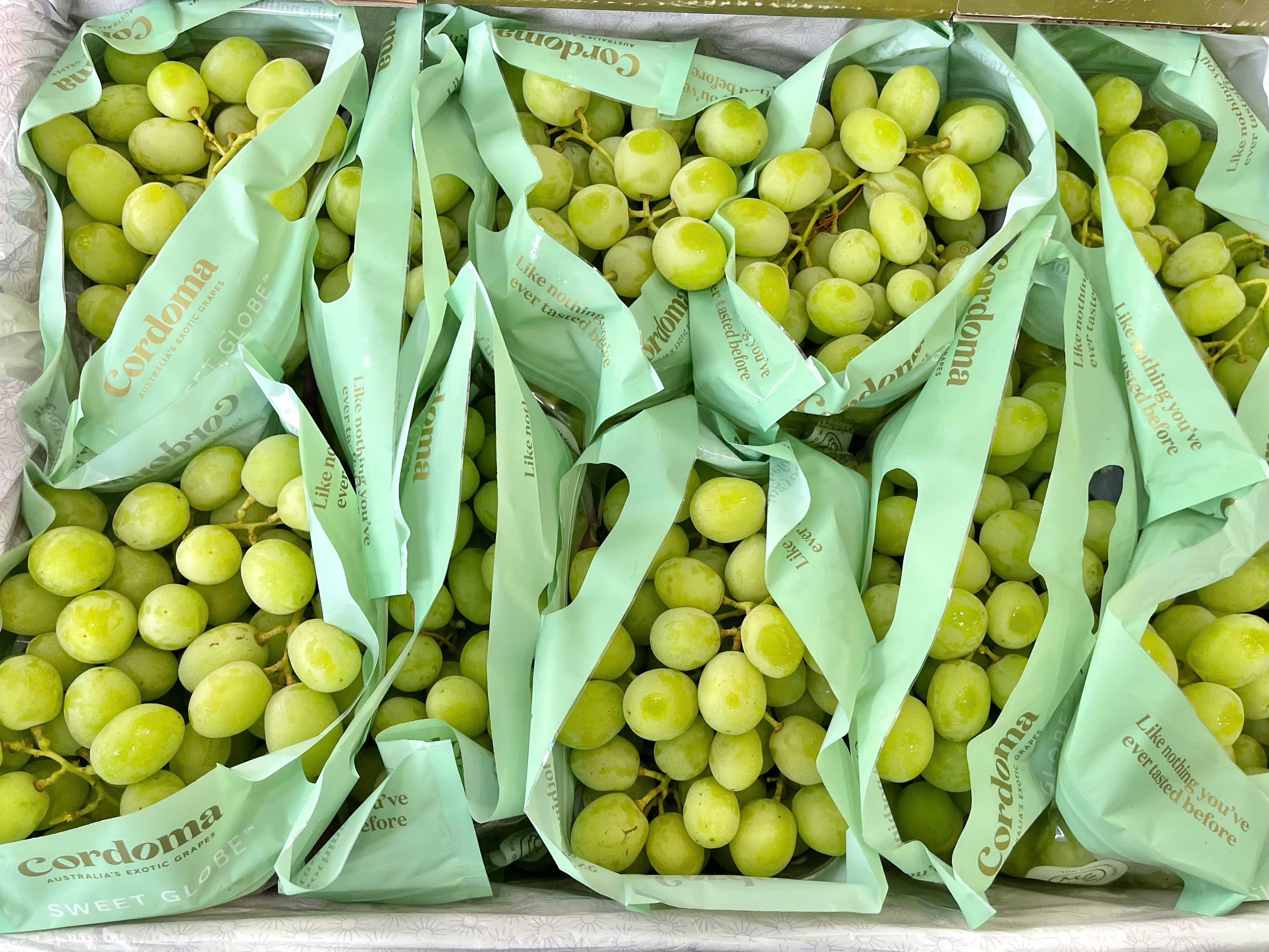 Nho Xanh Úc Cordoma Sweet Globe